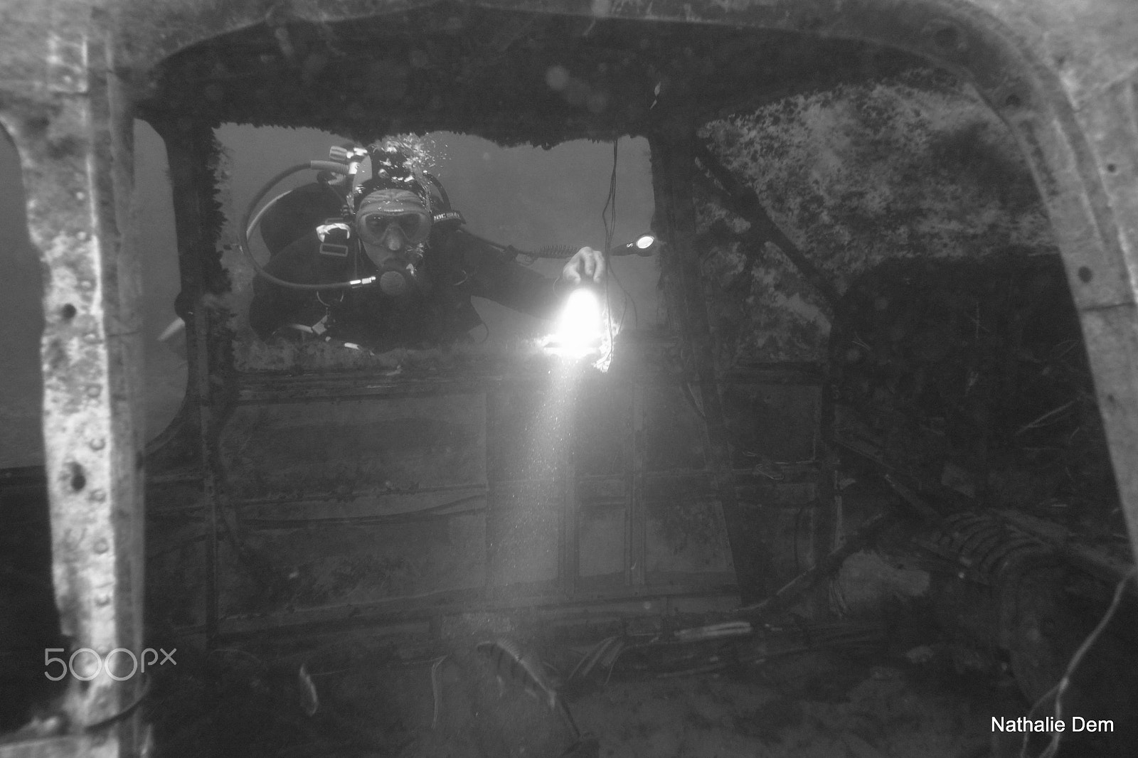 Nikon 1 J3 sample photo. Fish in the spot-light photography