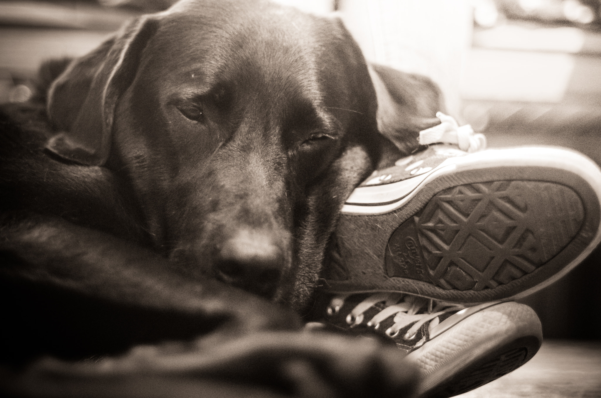 Pentax K-5 + Pentax smc FA 50mm F1.4 sample photo. My name is fargo photography