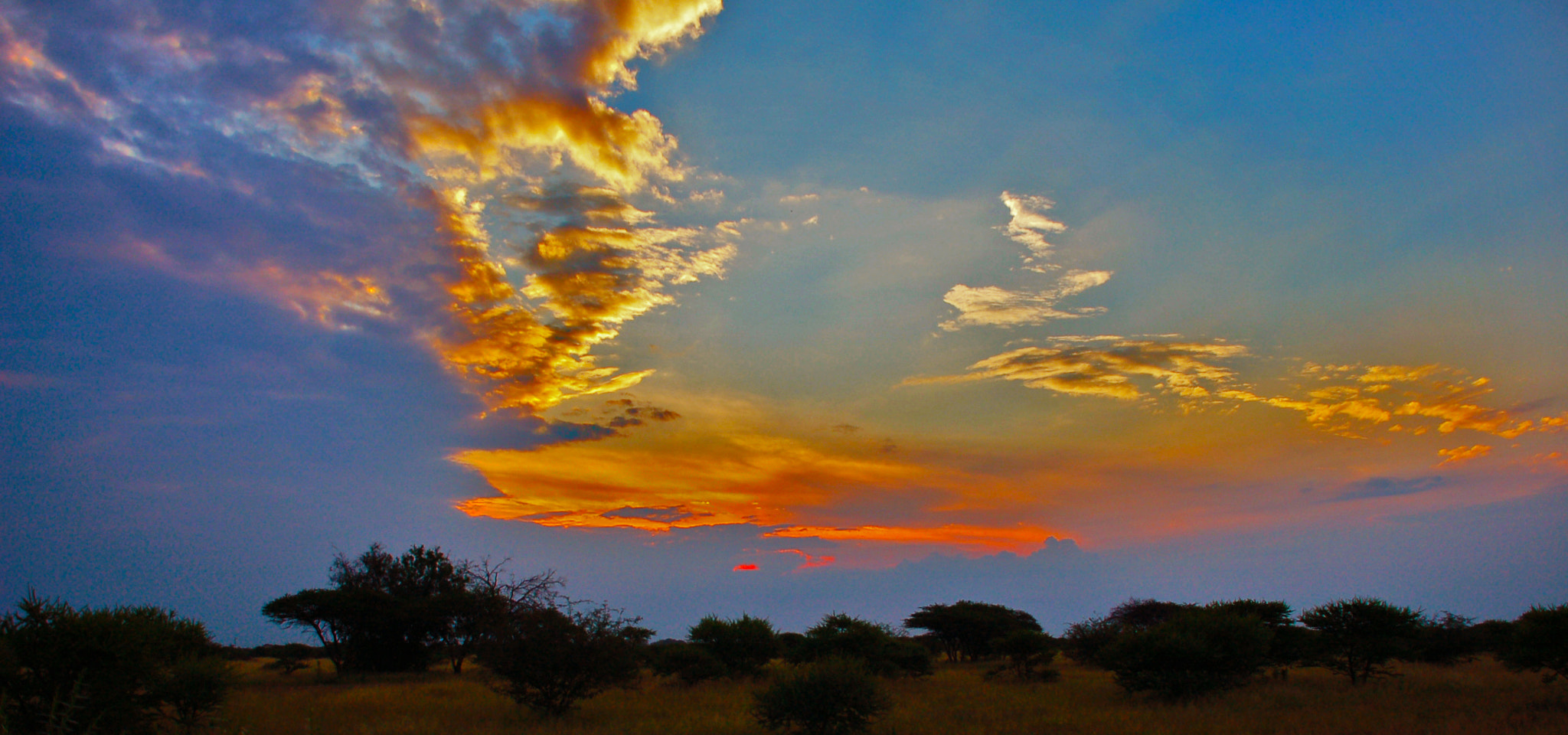 Nikon D50 sample photo. Fire in the sky photography