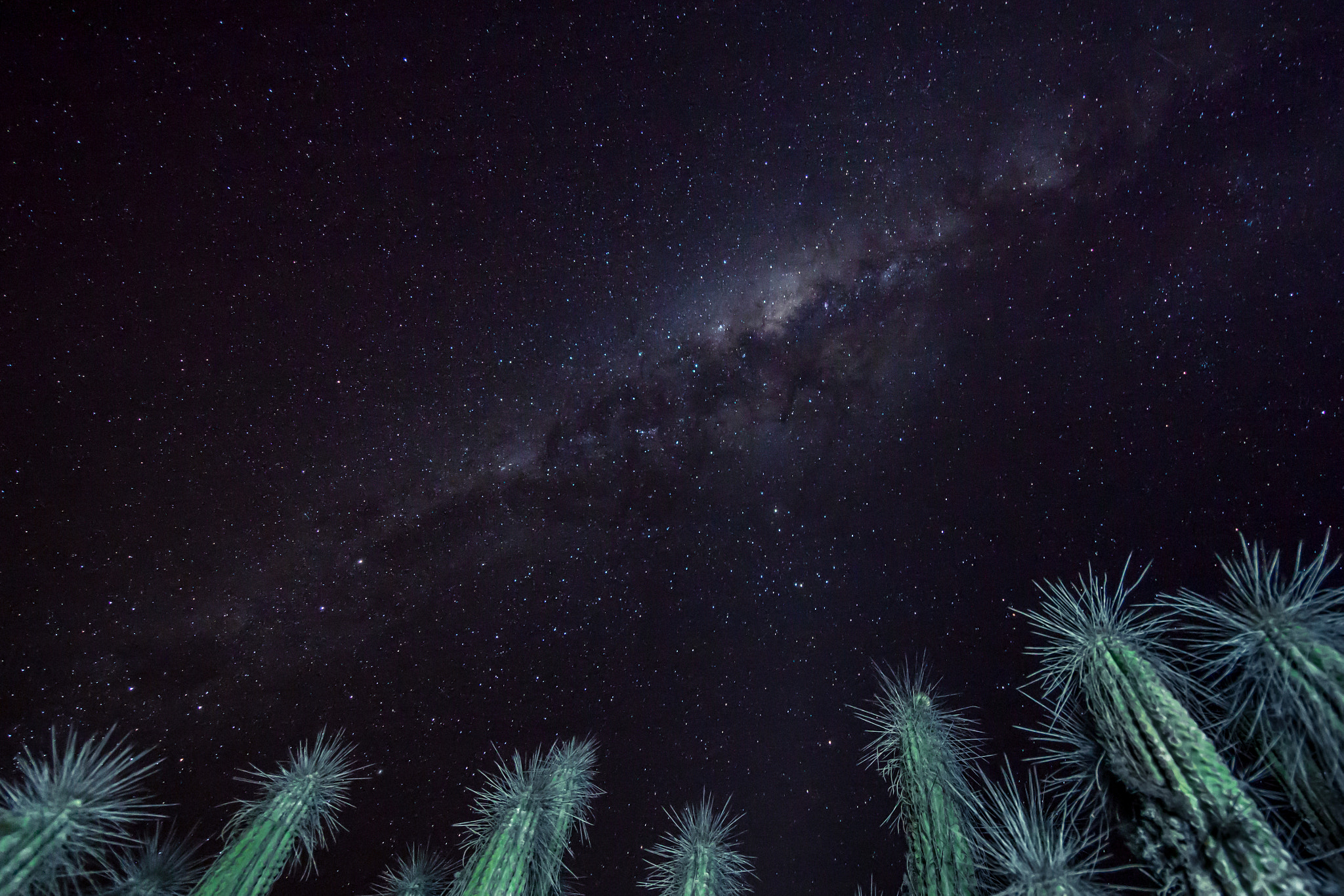 Canon EOS 60D + Sigma 8-16mm F4.5-5.6 DC HSM sample photo. Cielo nocturno con cactus photography