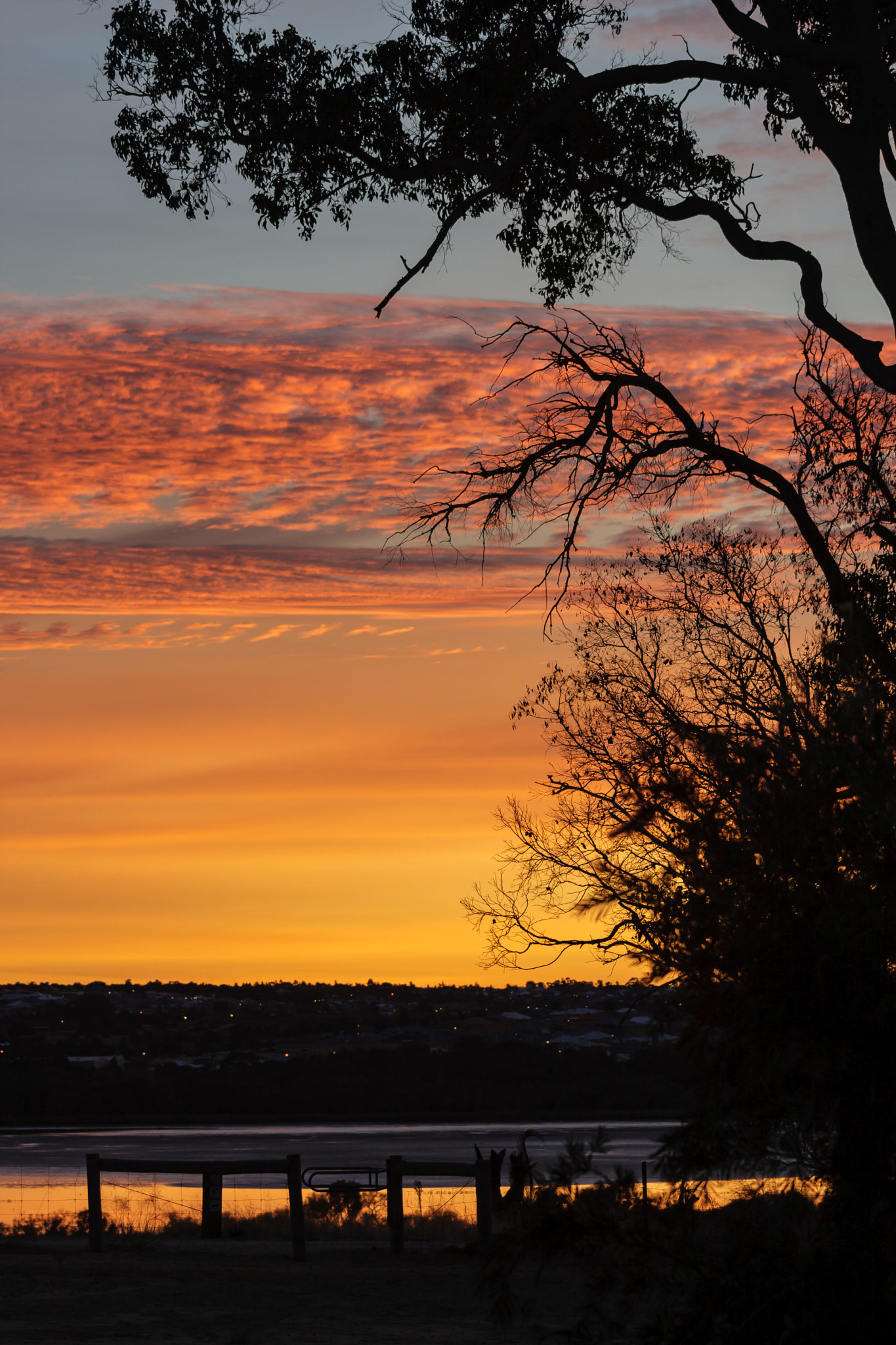 Canon EOS 400D (EOS Digital Rebel XTi / EOS Kiss Digital X) + EF75-300mm f/4-5.6 sample photo. Golden dawn over lake joondalup near perth western australia photography