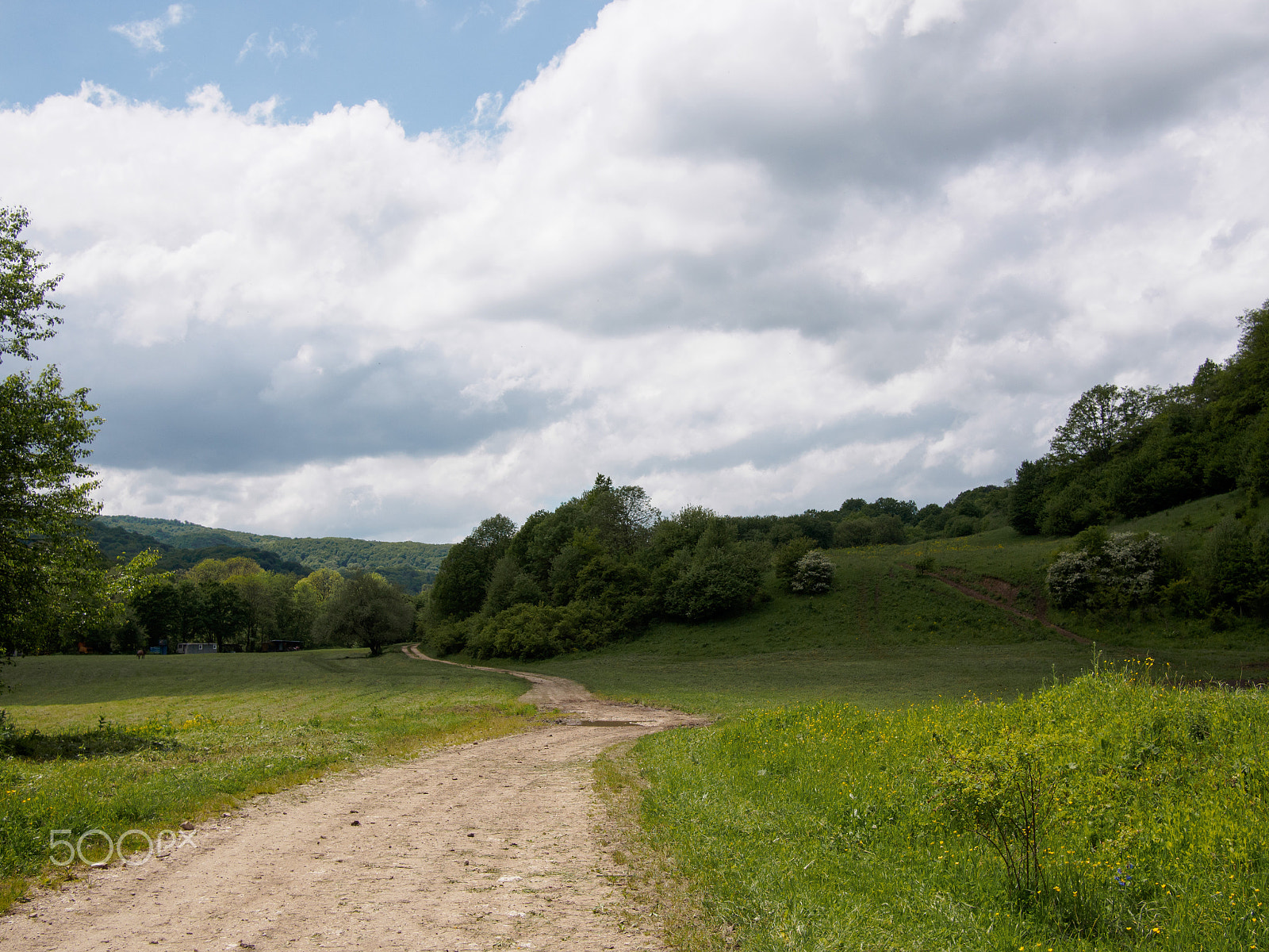 LUMIX G 20/F1.7 II sample photo. Path photography