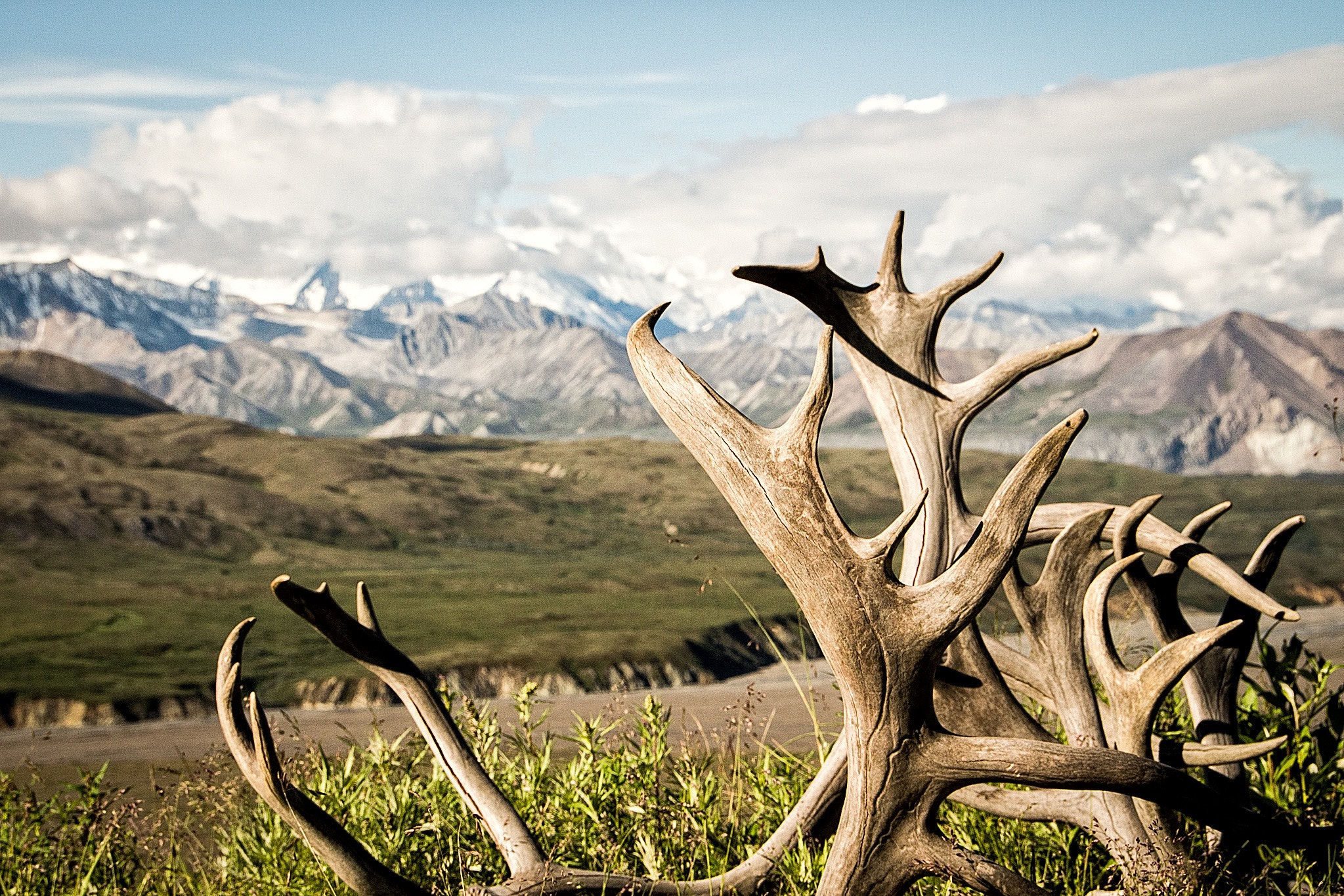 Sigma 18-250mm F3.5-6.3 DC OS HSM sample photo. Beautiful alaska photography