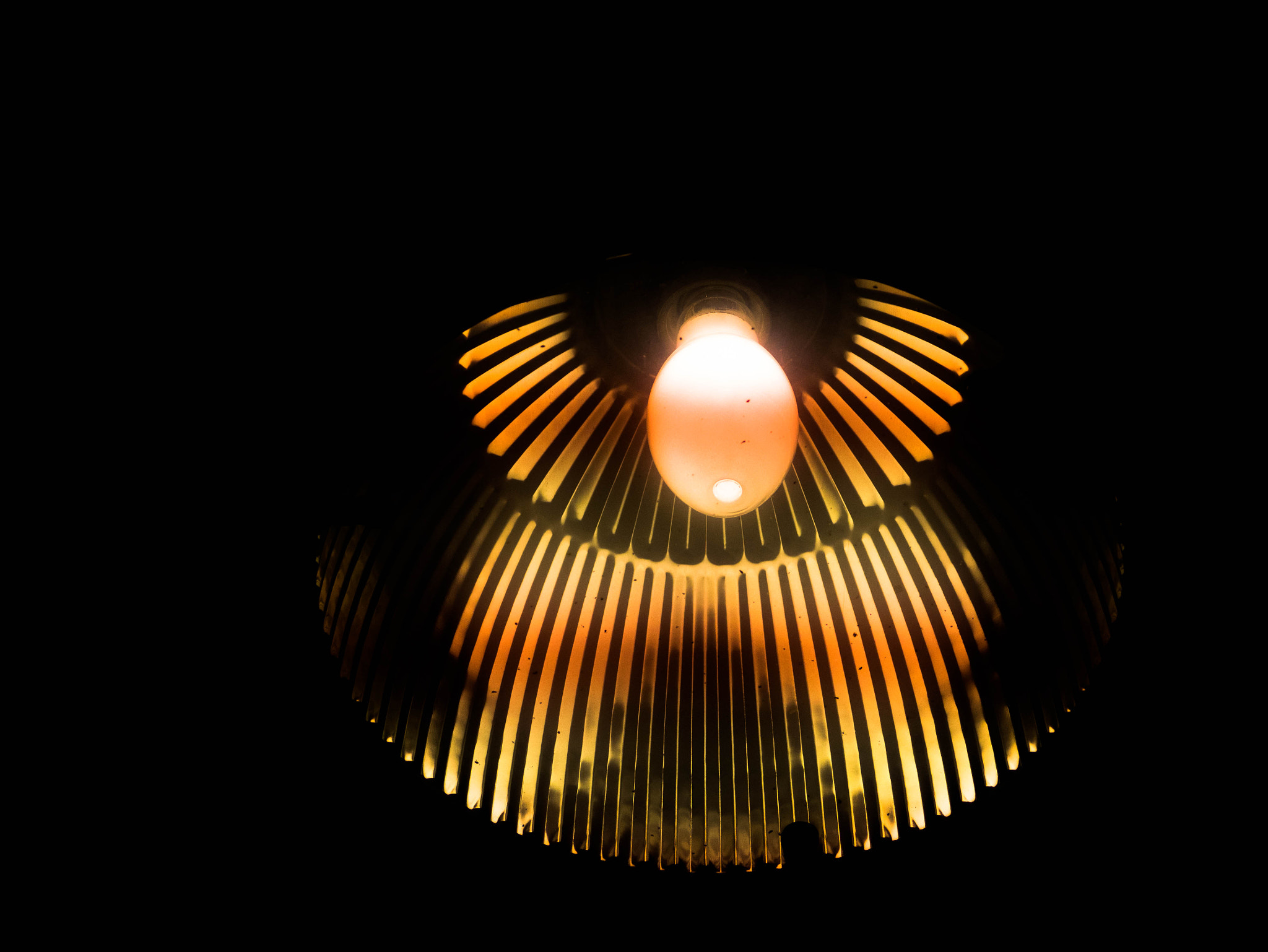 Panasonic Lumix G Vario 45-200mm F4-5.6 OIS sample photo. Angel photography