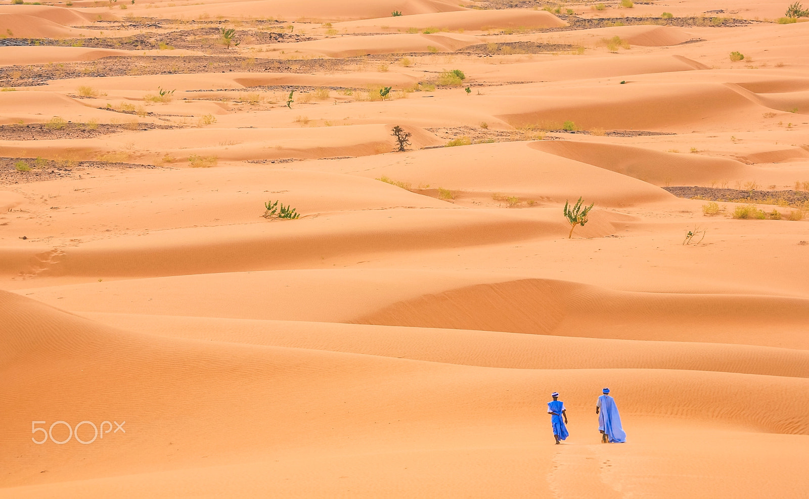 Canon EF 100-400mm F4.5-5.6L IS USM sample photo. Two people walking in the desert photography