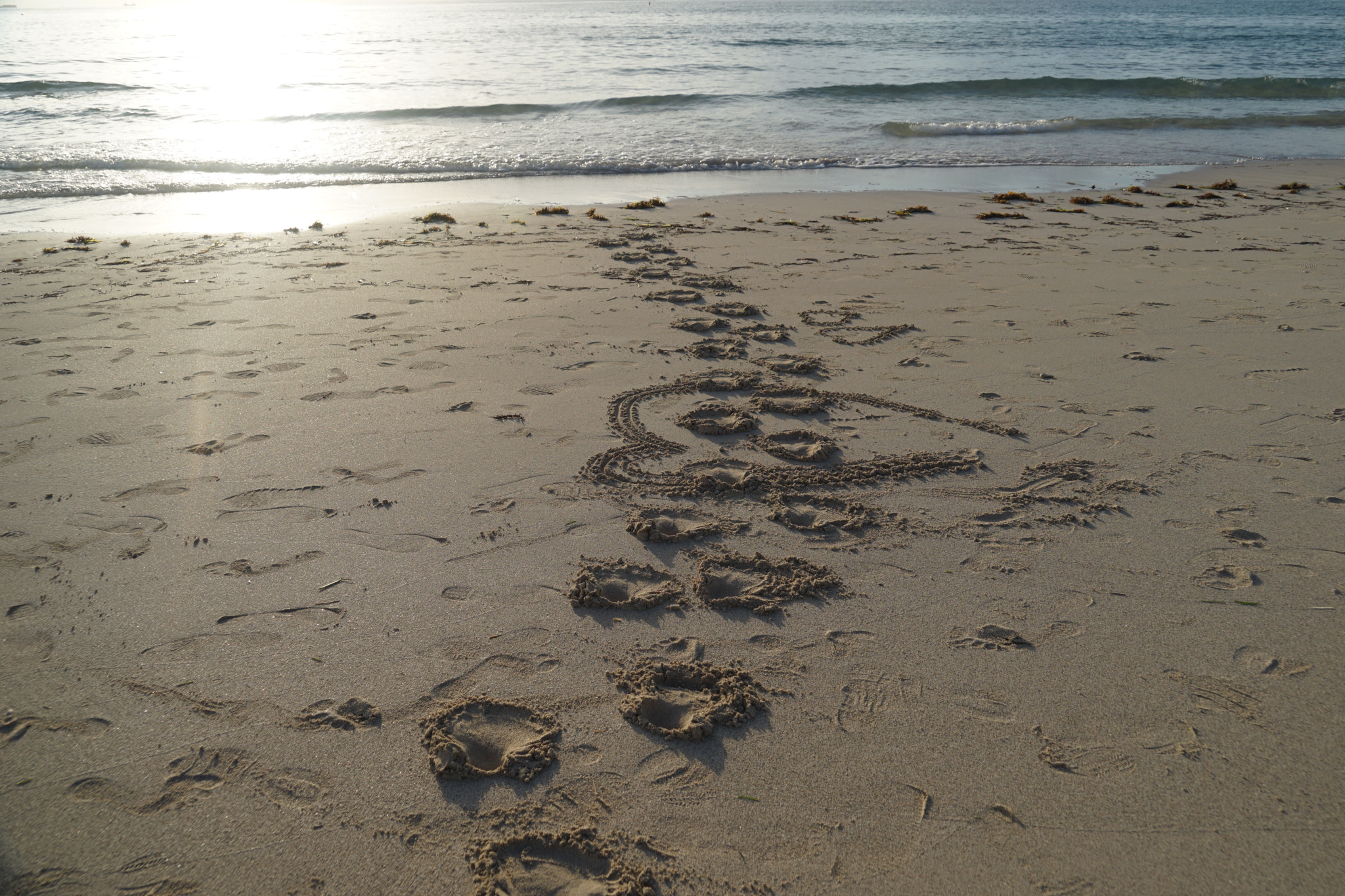 Sony a7 II + Sony FE 24-240mm F3.5-6.3 OSS sample photo. "messages in the sand" photography