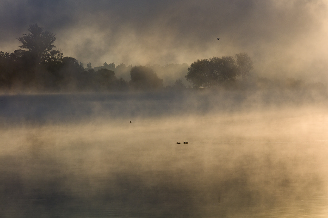 Canon EF 70-200mm F4L IS USM sample photo. Creation of a day photography