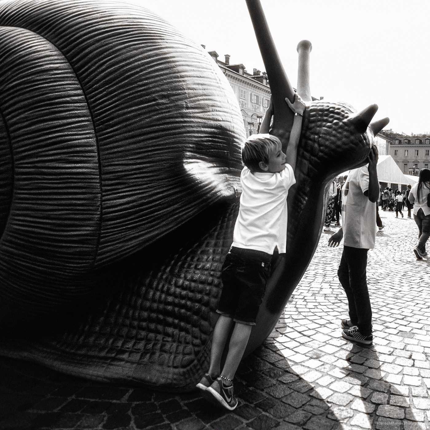 Fujifilm X-E1 + Fujifilm XF 14mm F2.8 R sample photo. Giant snails attack photography