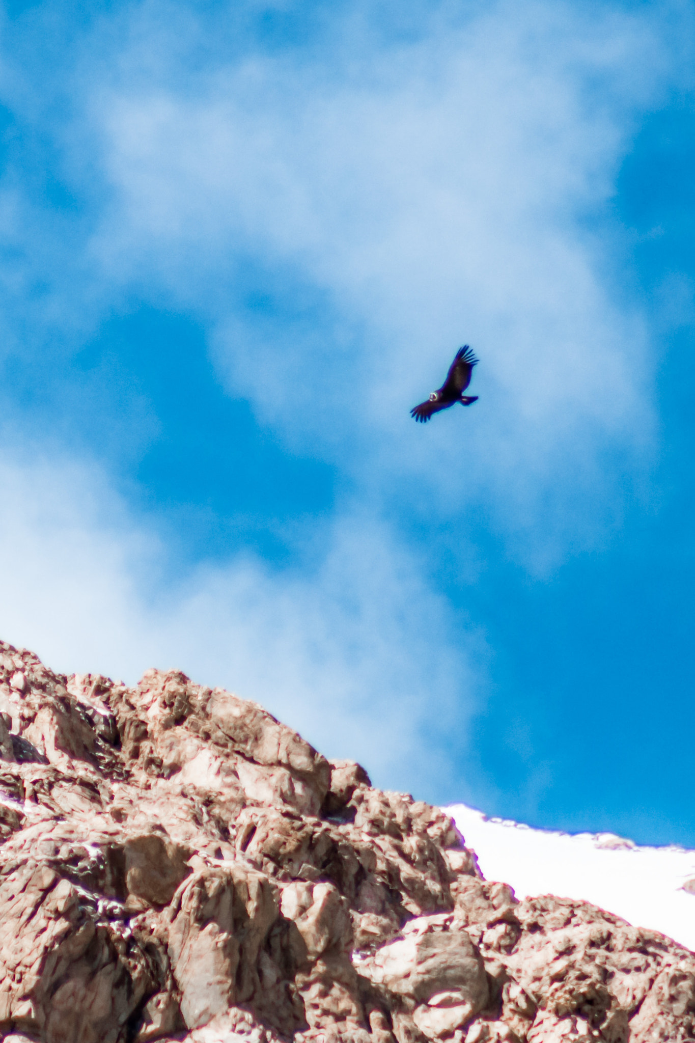 Canon EF 75-300mm f/4-5.6 USM sample photo. Embalse el yeso photography