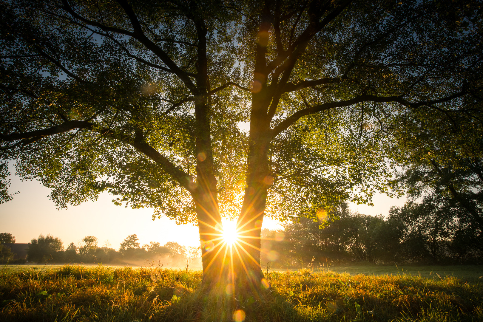 Sony a7R II + Canon EF 16-35mm F4L IS USM sample photo. Between photography