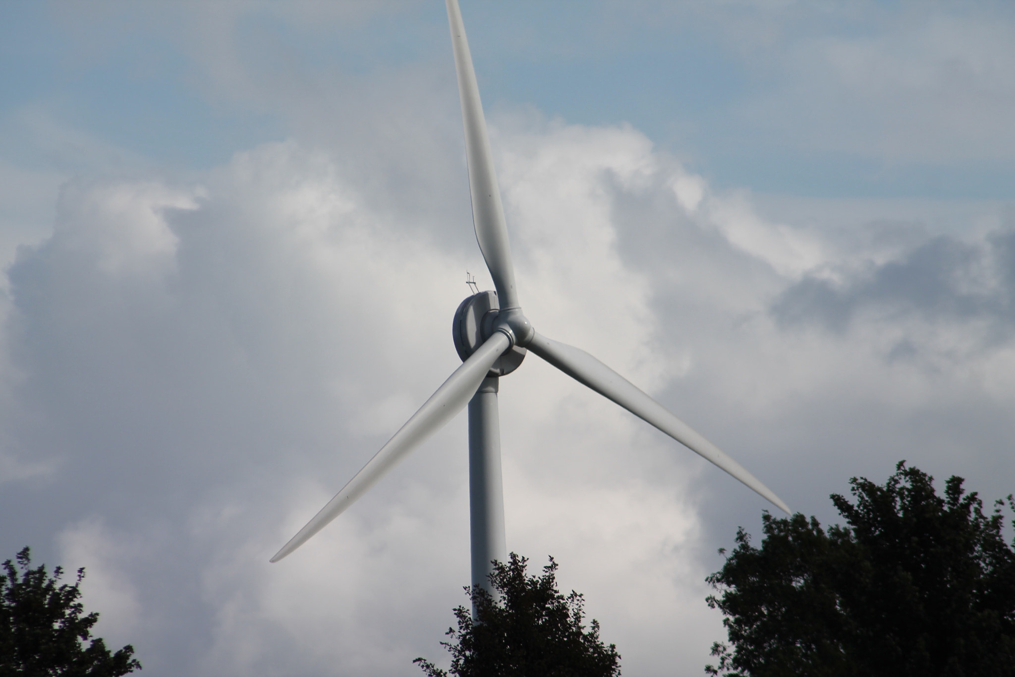 Canon EF75-300mm f/4-5.6 sample photo. Politically green - socially an unacceptable  eyesore photography