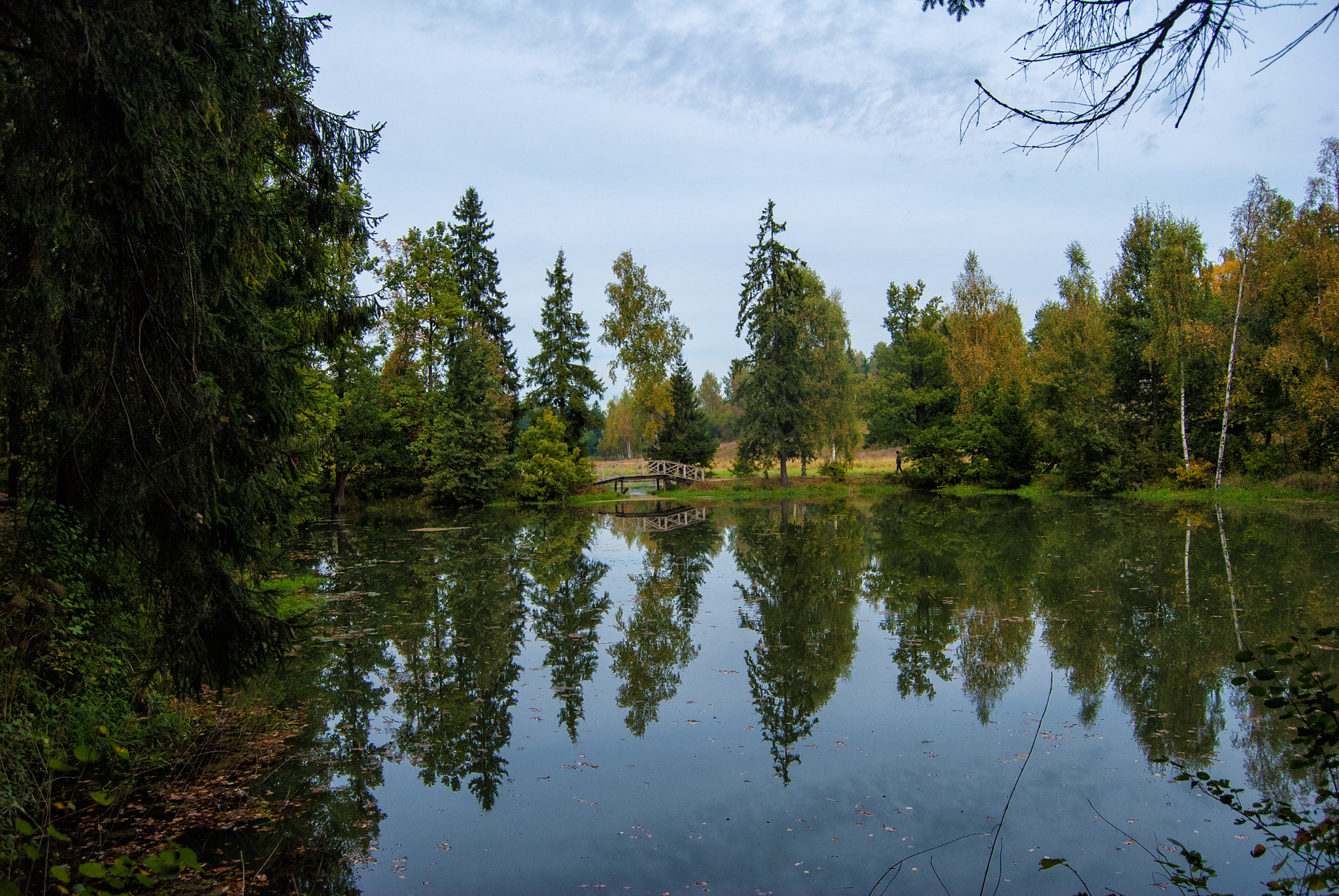 Nikon D40X sample photo. ... photography