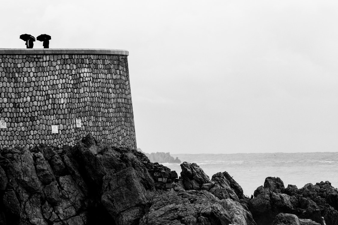 Canon EOS 70D + Canon EF 300mm F4L IS USM sample photo. Cap rauba capeu photography