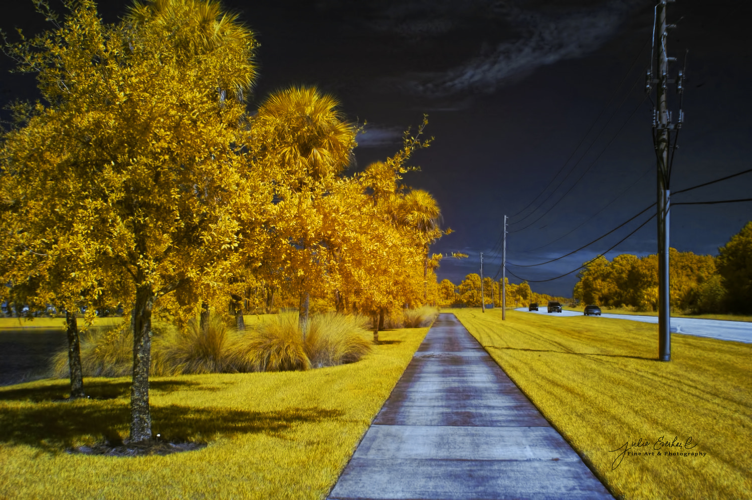 Nikon D70 sample photo. Golden days of september photography