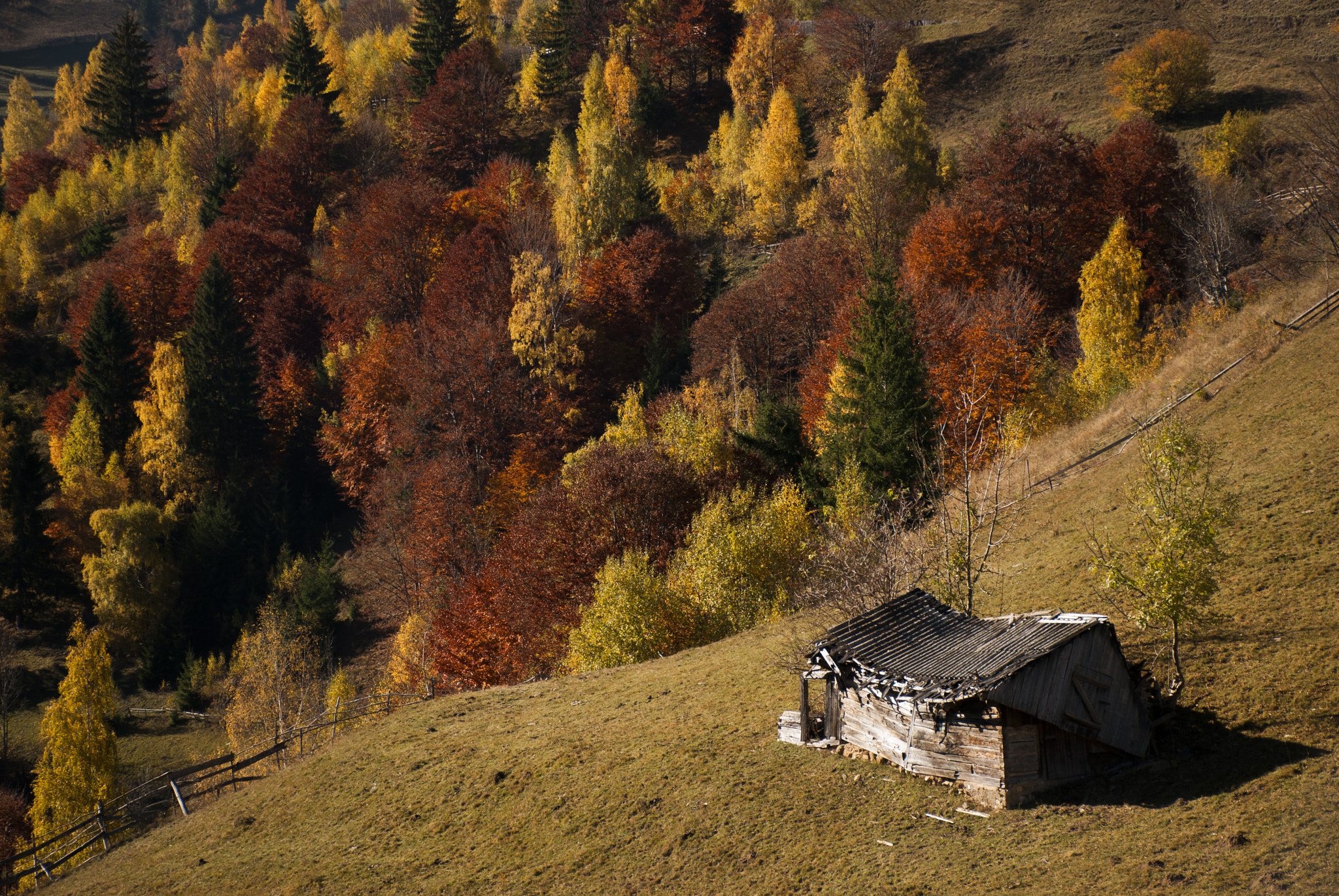 Nikon D80 sample photo. Colors photography