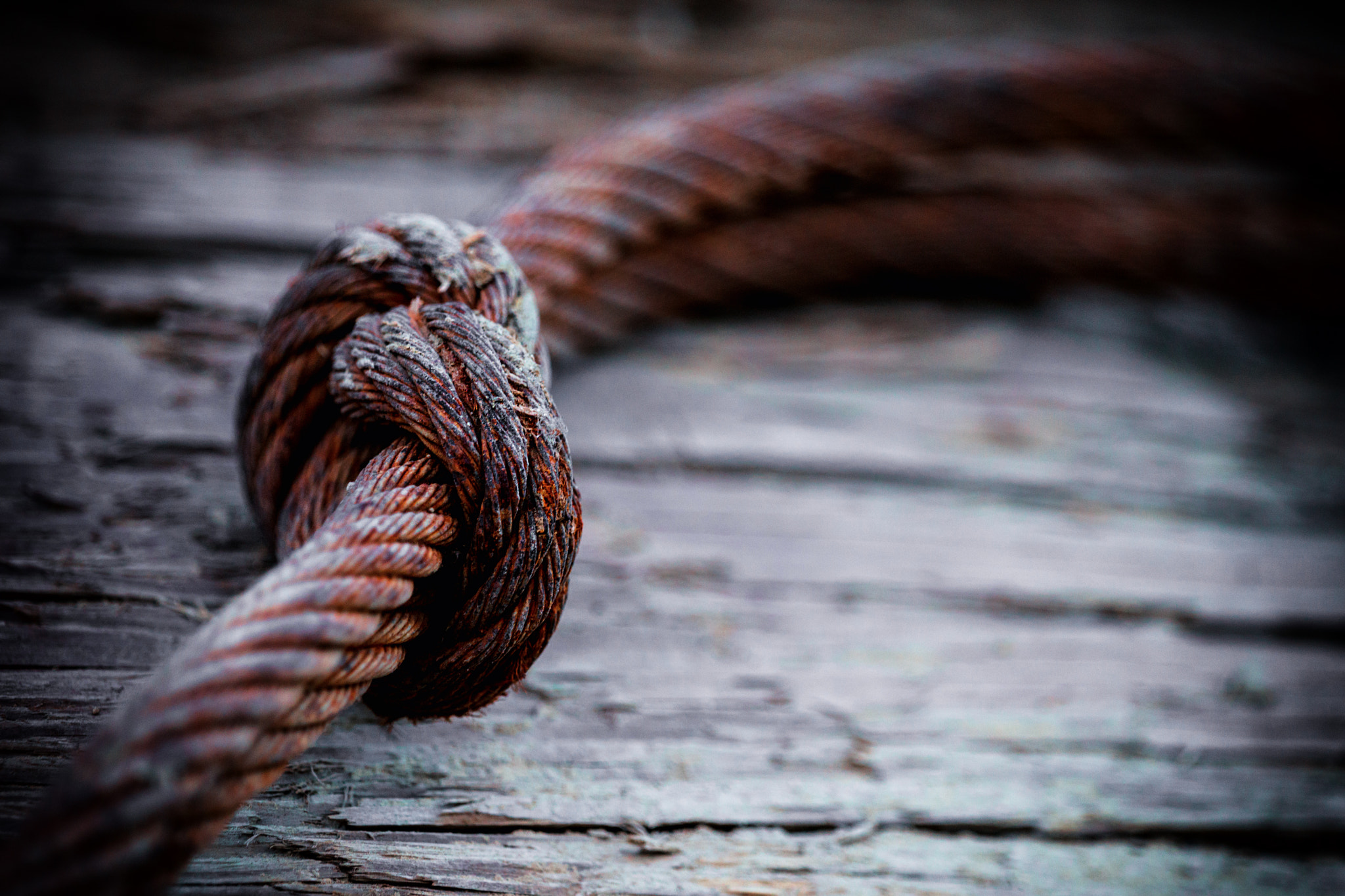 Sony 70-400mm F4-5.6 G SSM II sample photo. Knotted photography