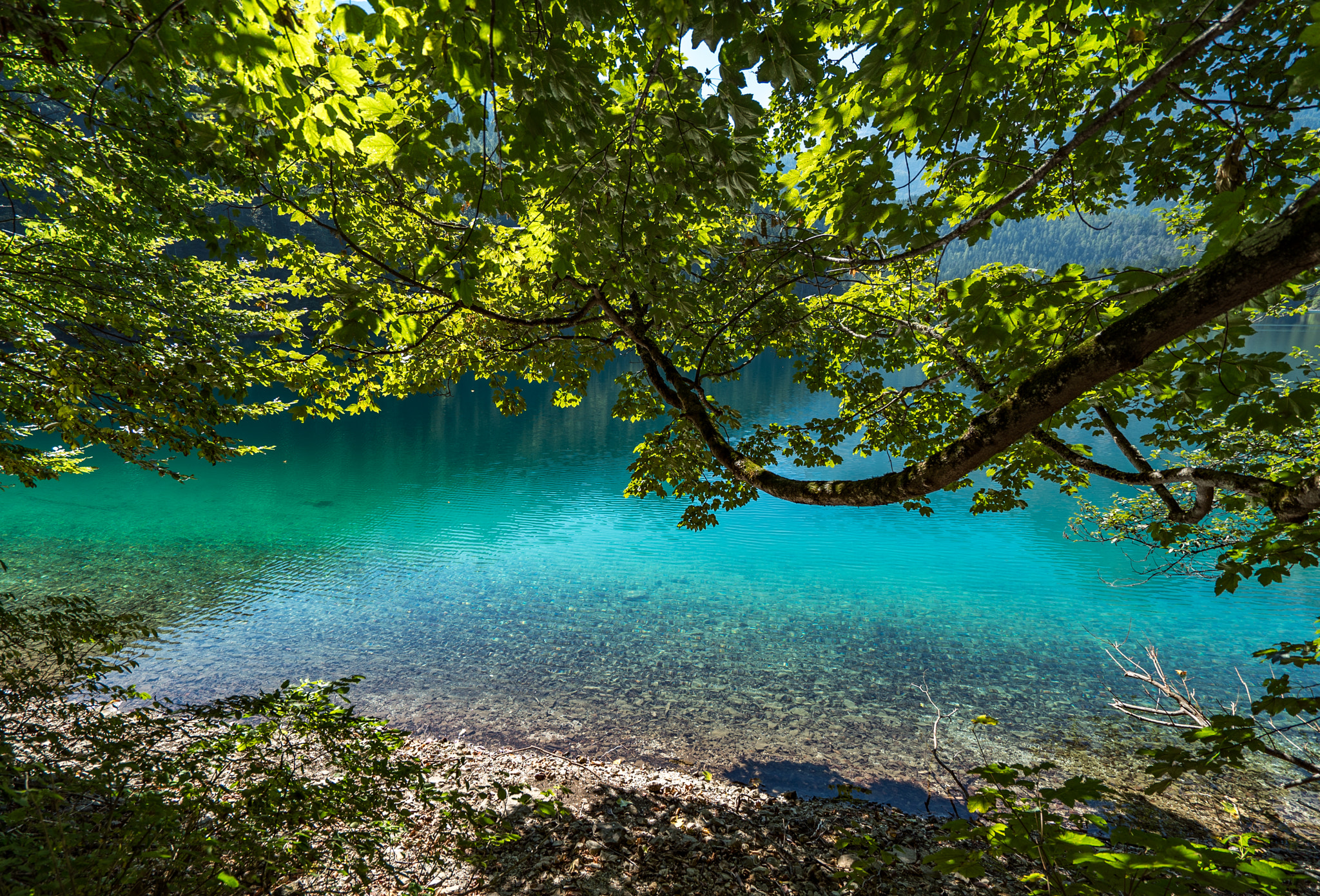 Sony a7S II + Sony Vario-Tessar T* FE 16-35mm F4 ZA OSS sample photo. Lago di tovel photography