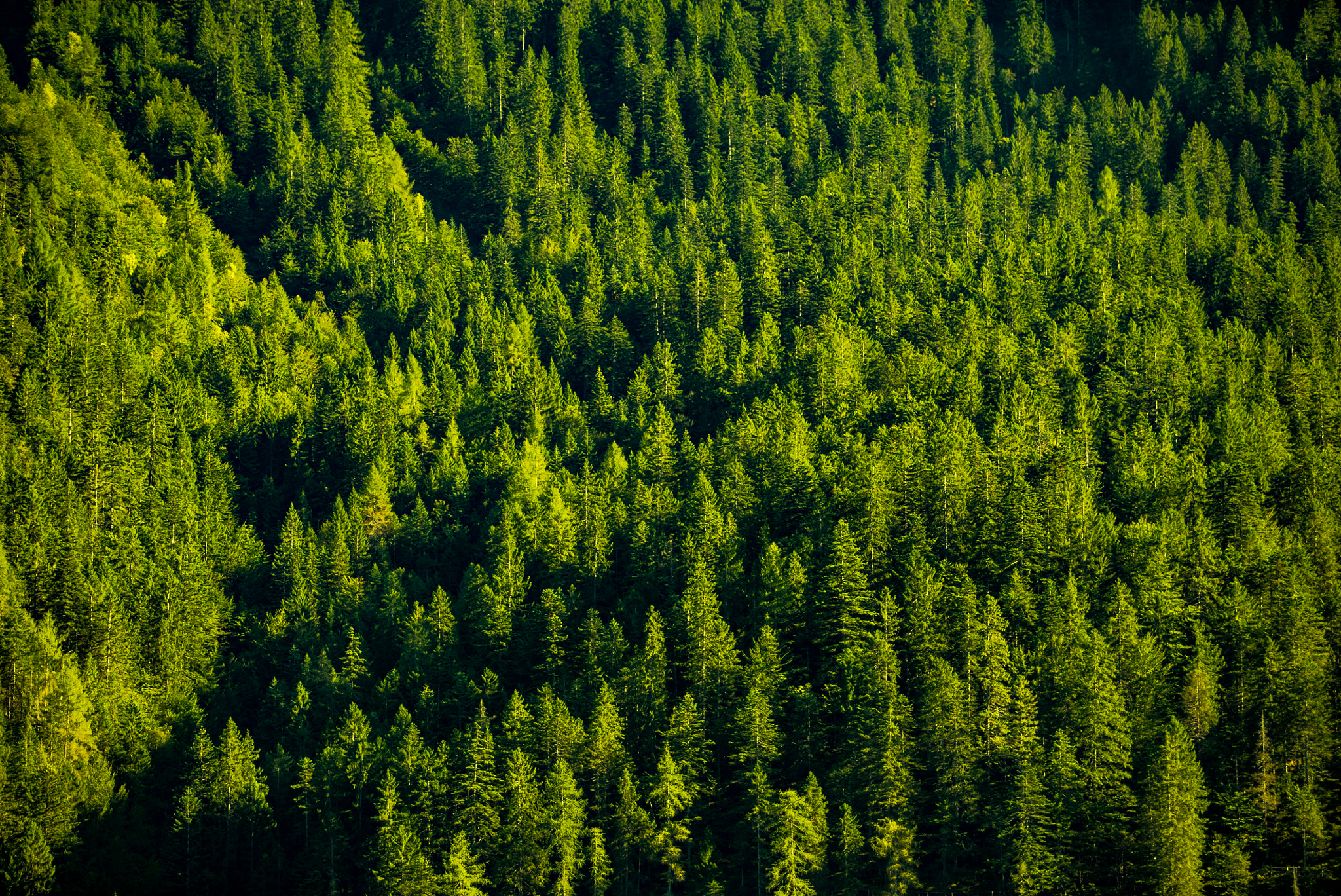 Canon EF 70-200mm F2.8L USM sample photo. Lago di tovel photography