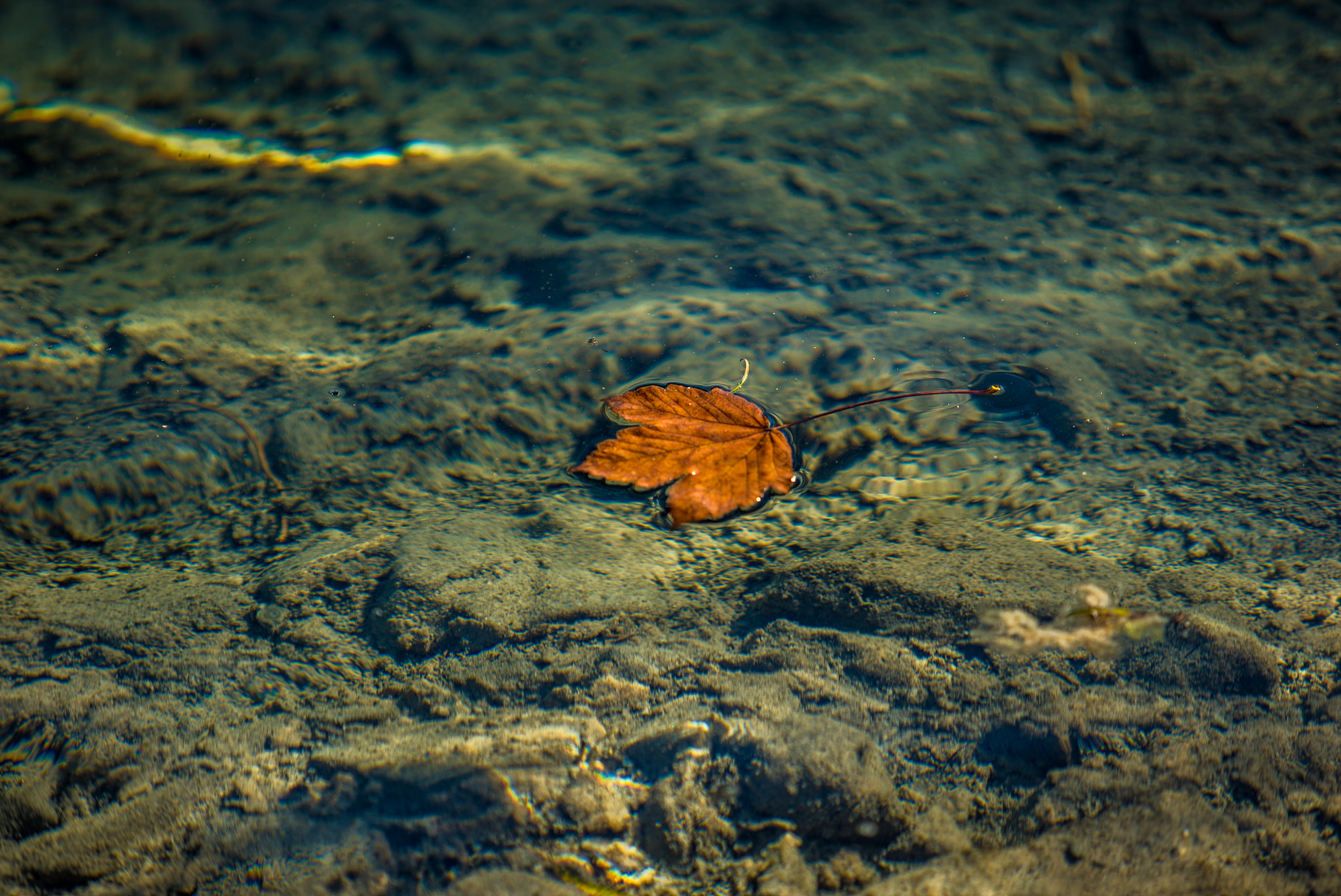 Sony a7S II + Canon EF 70-200mm F2.8L USM sample photo. Lago di tovel photography