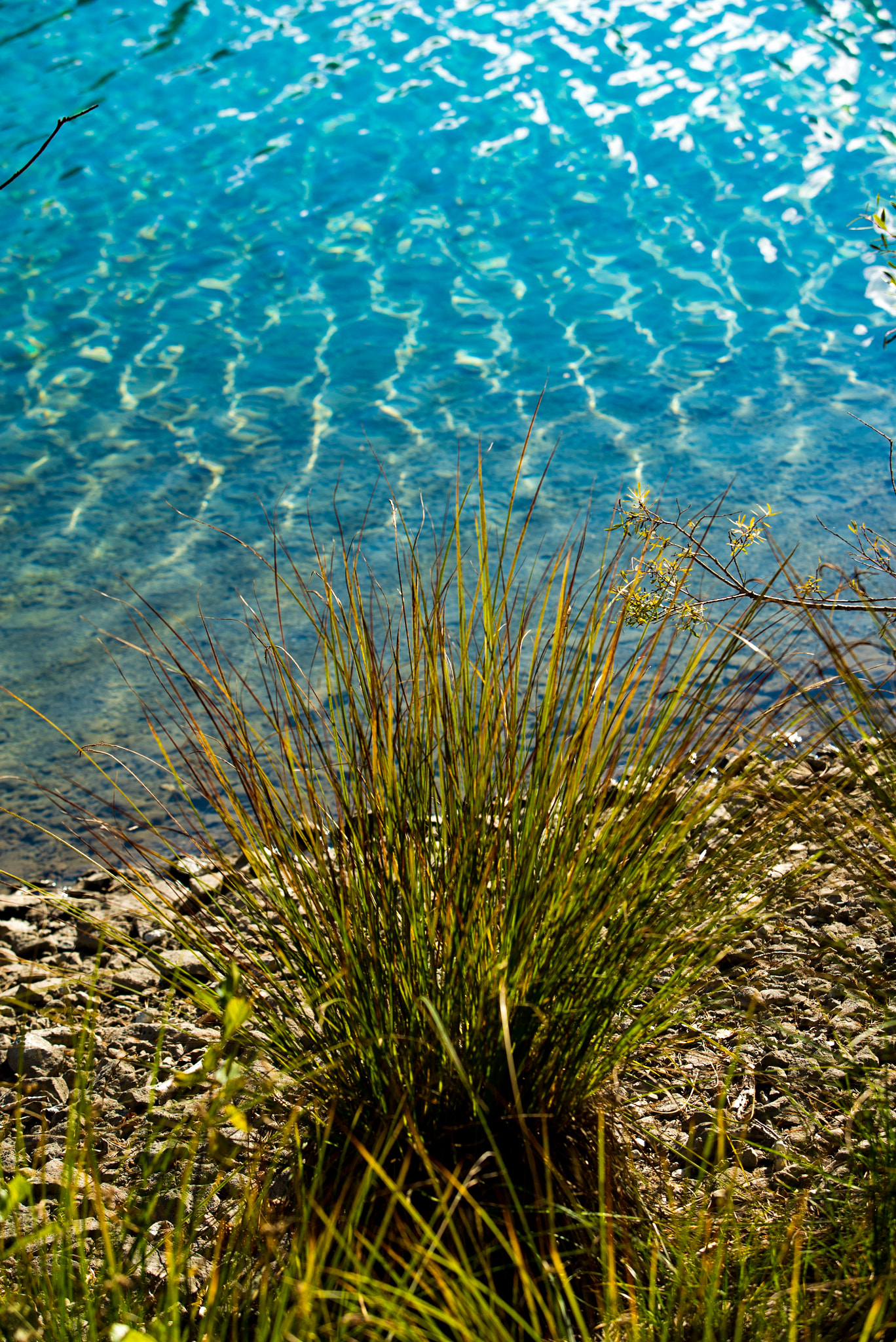 Sony a7S II + Canon EF 70-200mm F2.8L USM sample photo. Lago di tovel photography