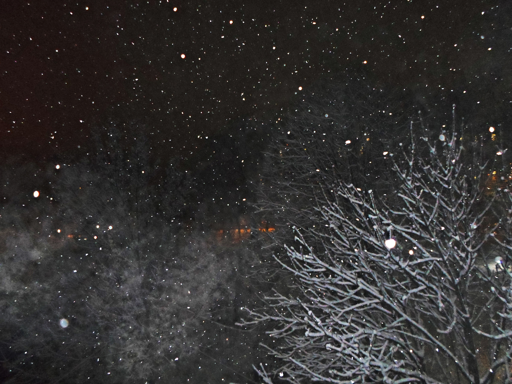 Samsung ST66 / ST68 sample photo. Can't wait...to snow photography