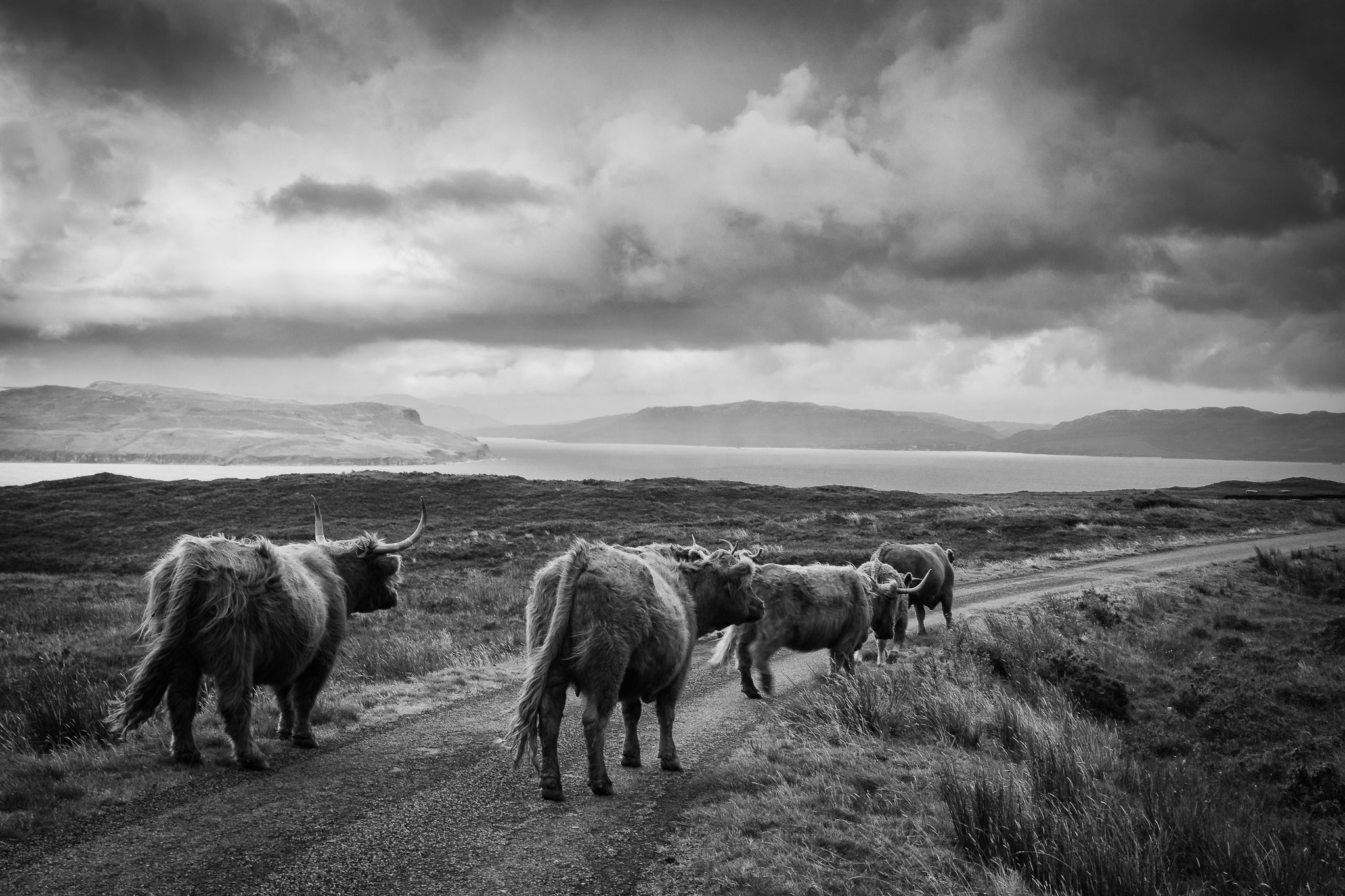 Sony a7 II + Canon EF 16-35mm F4L IS USM sample photo. -the march against the storm- photography