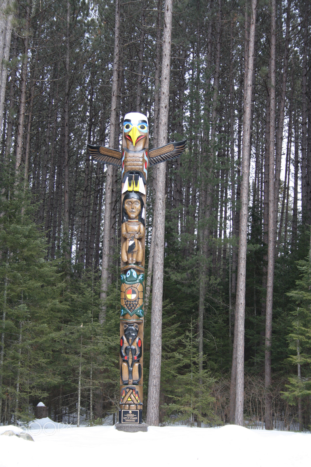 Canon EOS 1000D (EOS Digital Rebel XS / EOS Kiss F) sample photo. Totem pole photography