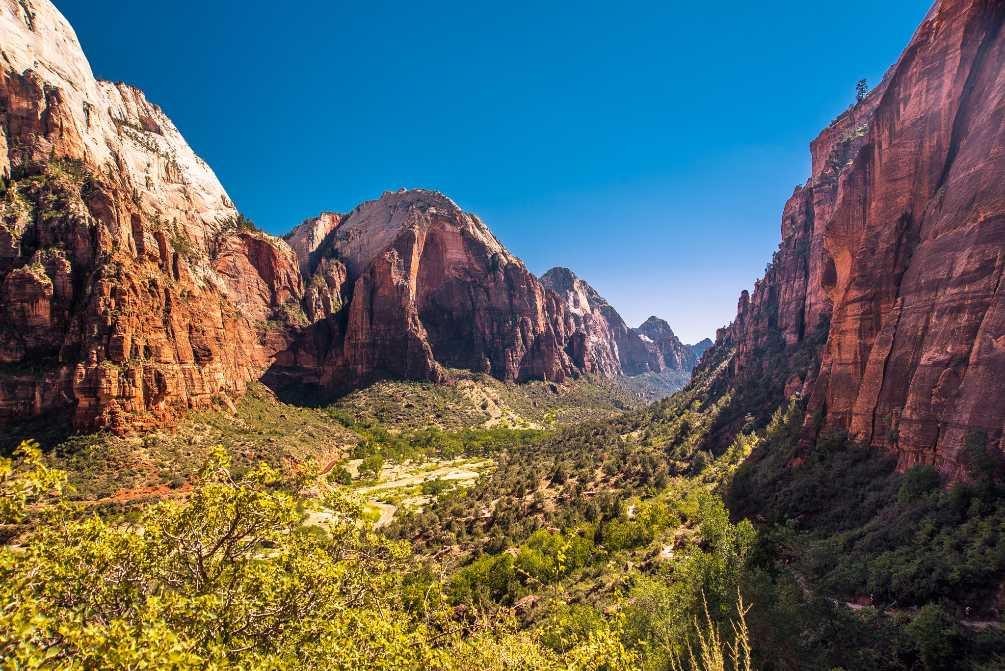 Nikon AF Nikkor 24-85mm F2.8-4D IF sample photo. Zion national park photography
