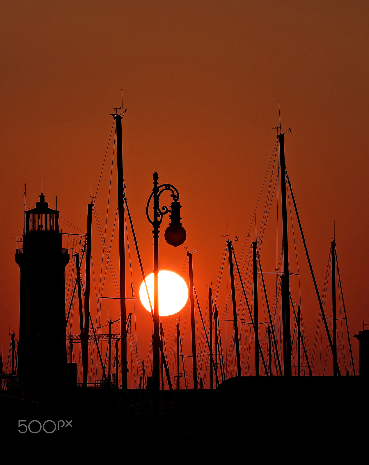 Canon EOS 6D + Canon EF 300mm F4L IS USM sample photo. Geometria photography