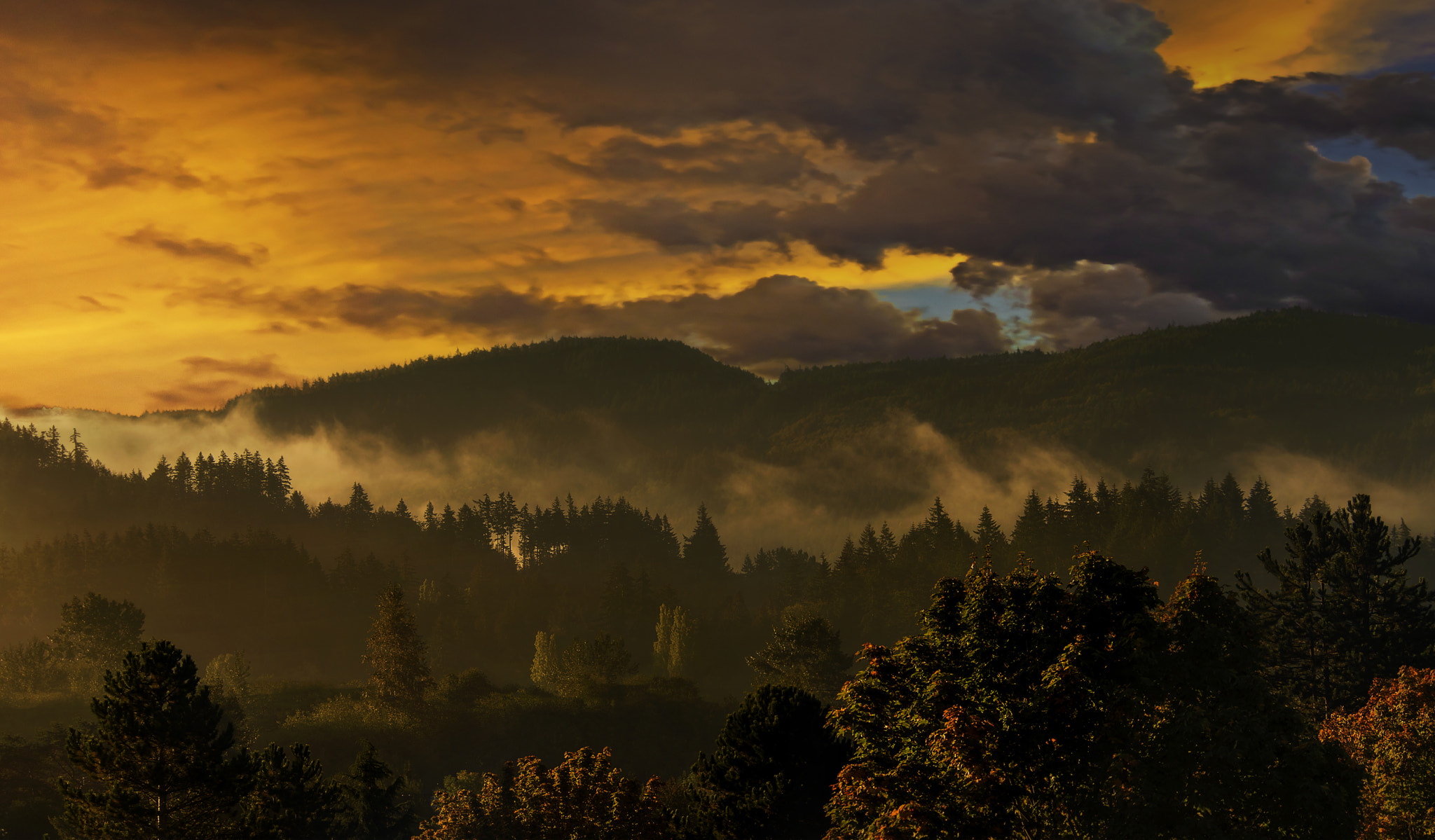 Nikon D800E sample photo. Hillside morning photography
