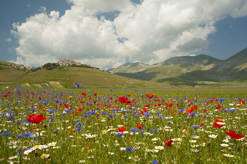 Canon EOS 1000D (EOS Digital Rebel XS / EOS Kiss F) sample photo. Castelluccio di norcia photography