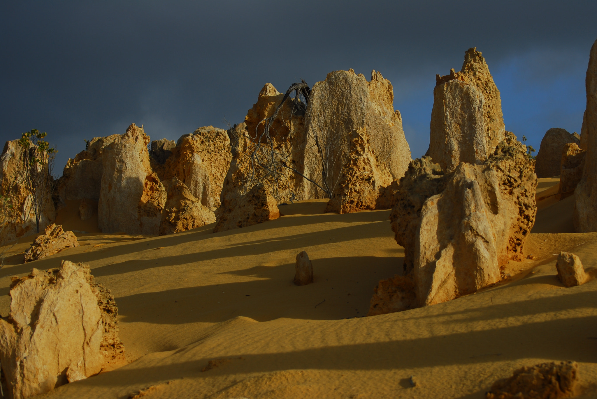 Nikon D200 sample photo. Pinnacle desert photography