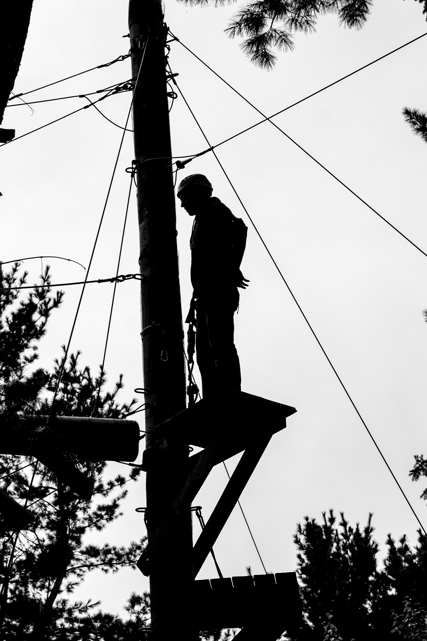 Canon EOS 450D (EOS Rebel XSi / EOS Kiss X2) + Canon EF 75-300mm f/4-5.6 USM sample photo. High ropes algonquin park. photography