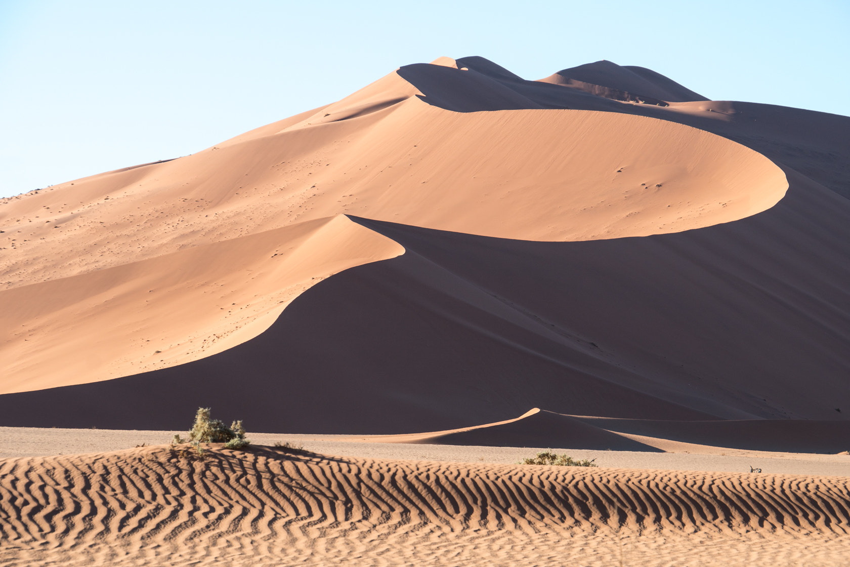 Sony a6300 + Sony E 18-200mm F3.5-6.3 OSS sample photo. Sanddunes,sossusvlei,namibia photography