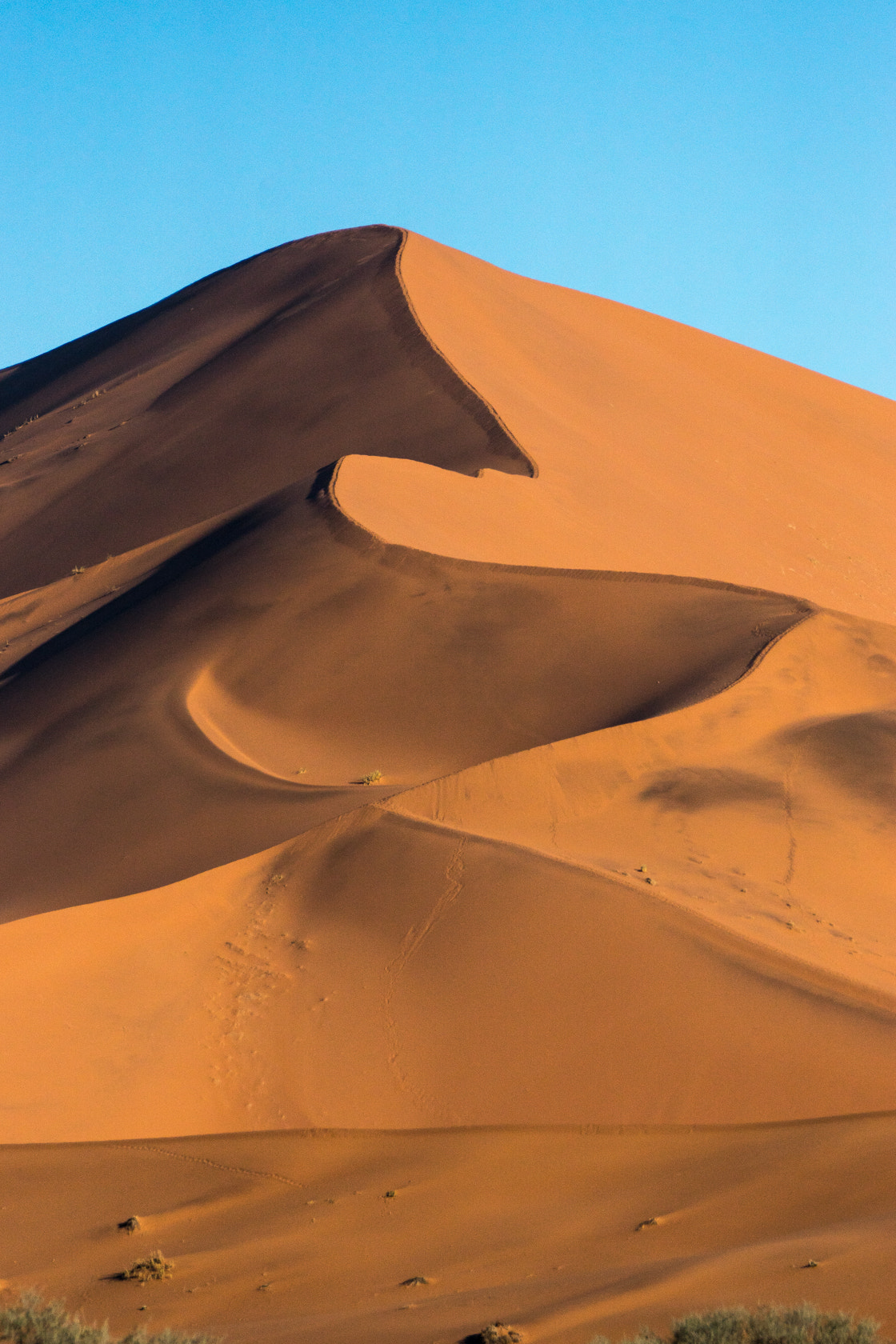 Sony 70-400mm F4-5.6 G SSM II sample photo. Sanddunes,sossusvlei,namibia photography