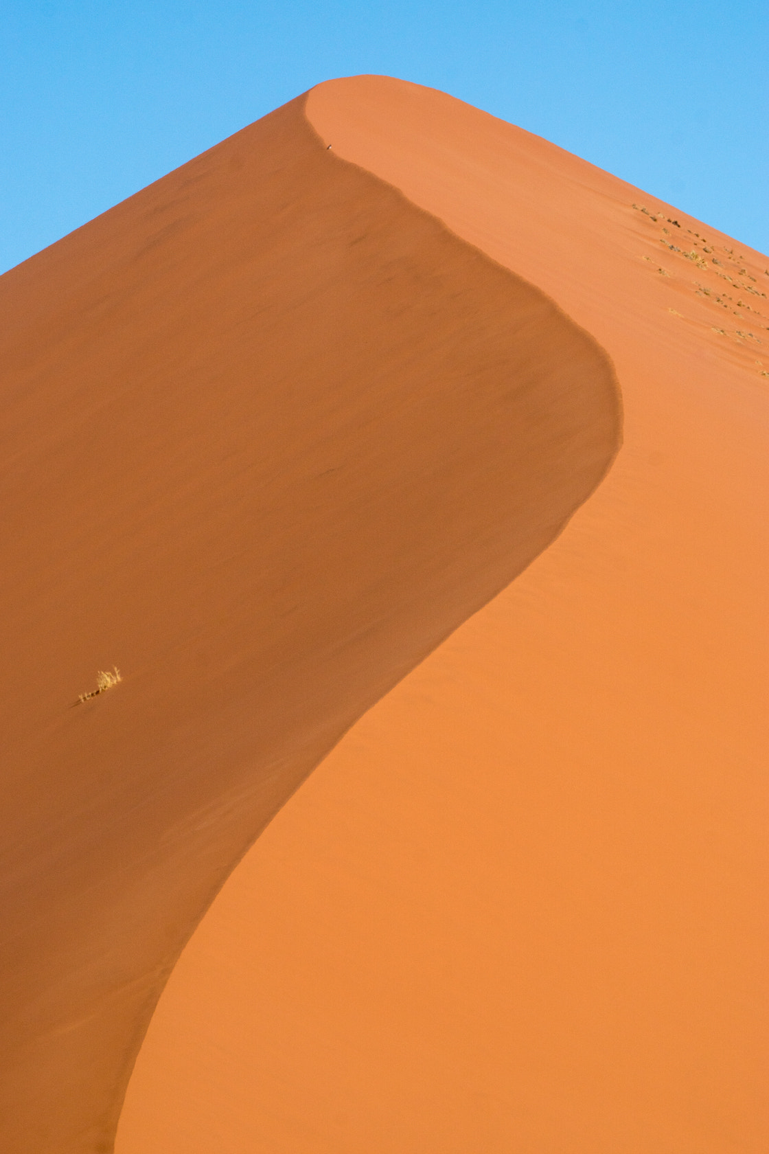 Sony 70-400mm F4-5.6 G SSM II sample photo. Sanddunes,sossusvlei,namibia photography