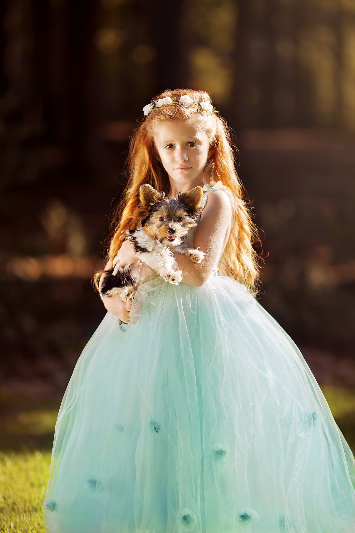 Canon EOS 5D Mark IV + Canon EF 135mm F2L USM sample photo. Puppy love photography