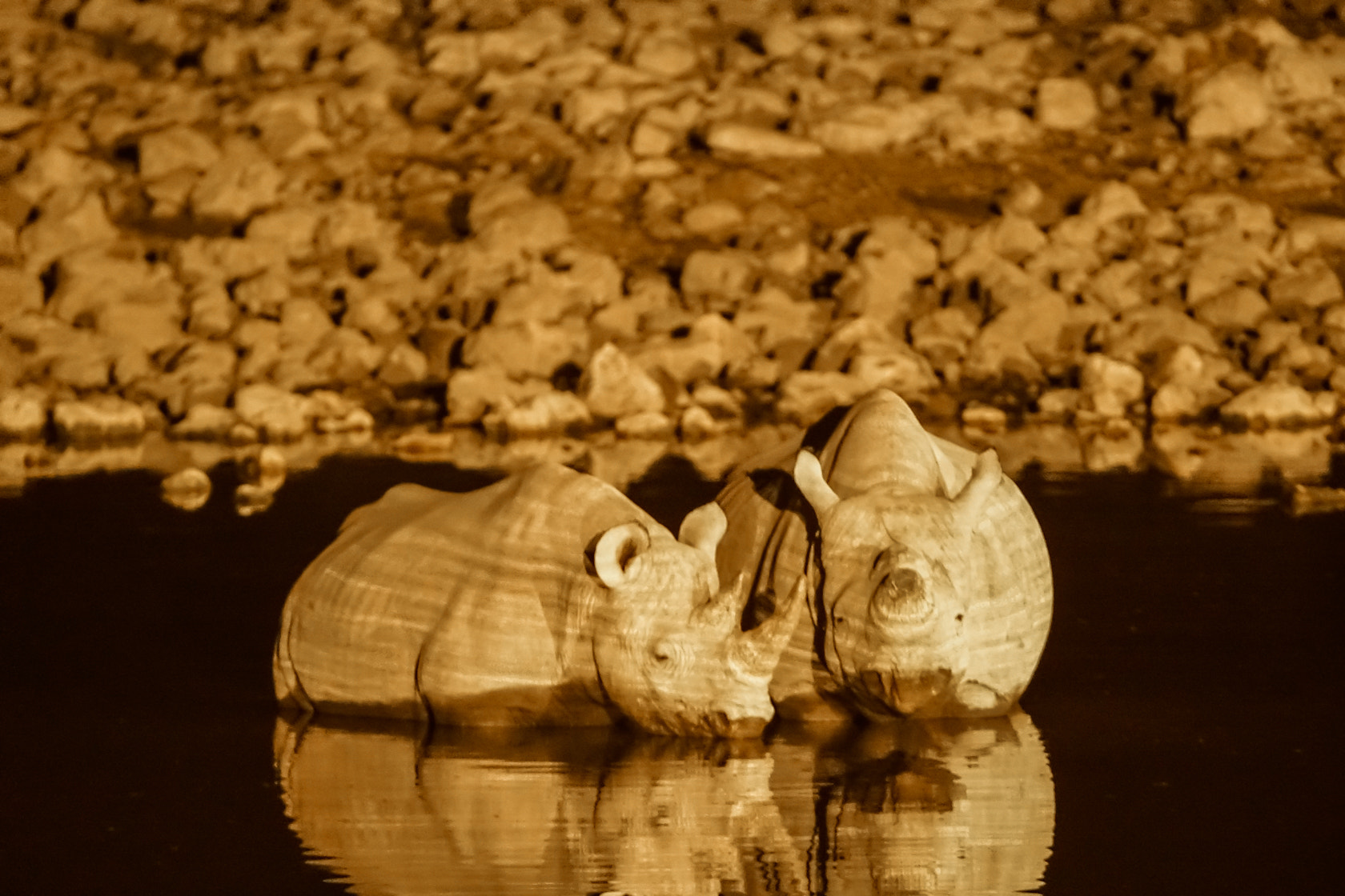 Sony 70-400mm F4-5.6 G SSM II sample photo. White rhino's at night, etosha,namibia photography