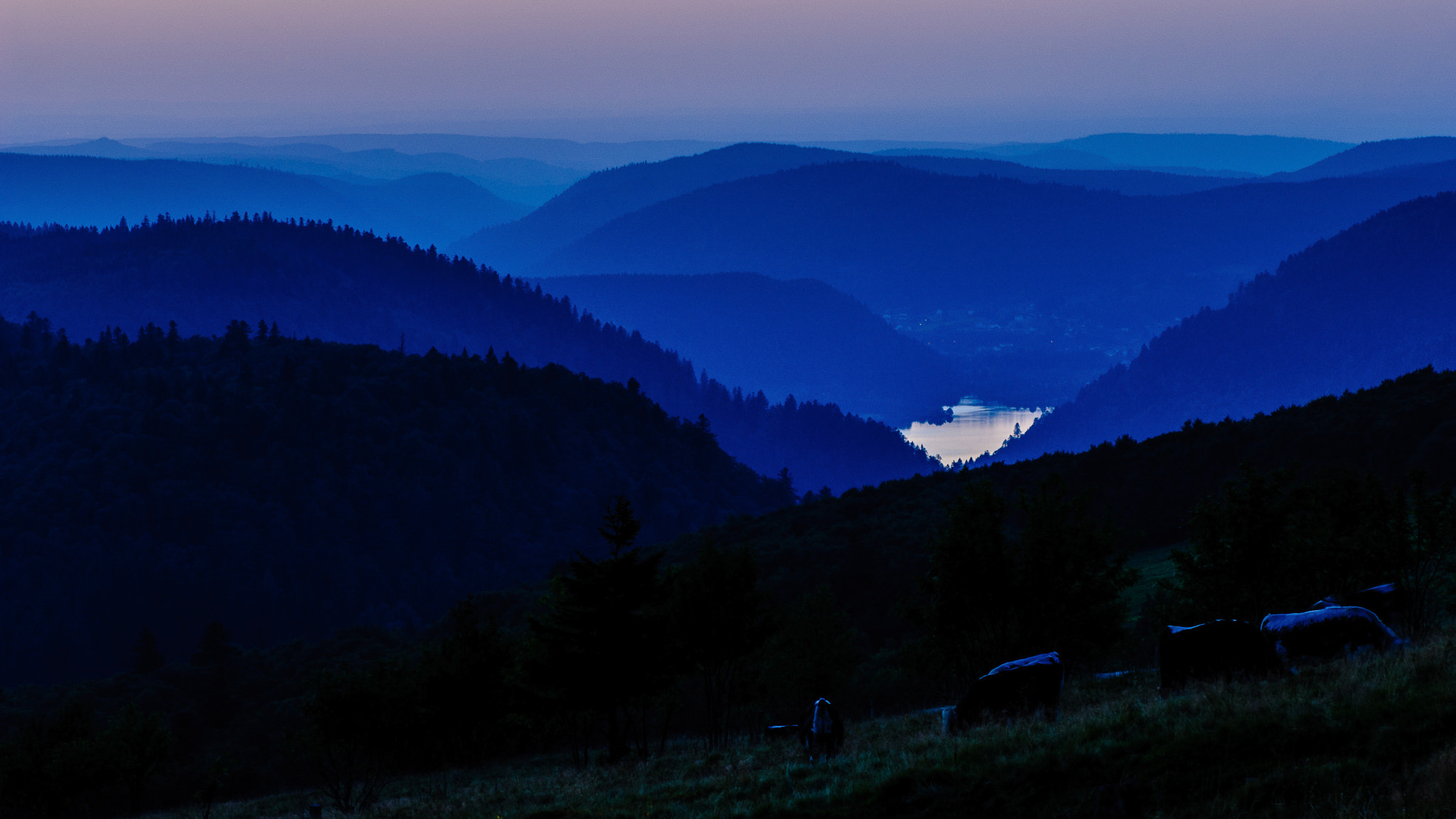 Nikon D200 sample photo. Blue line of vosges photography