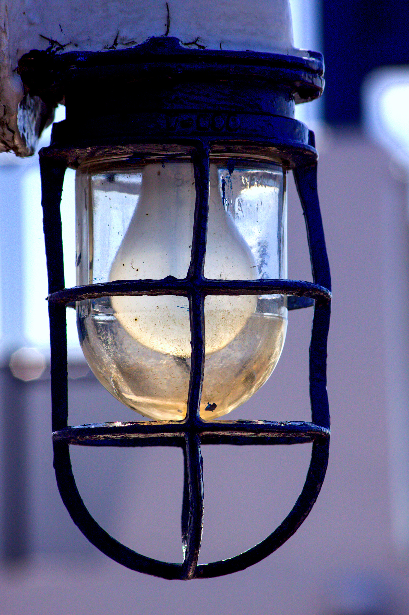 Sigma 70-300mm F4-5.6 APO DG Macro sample photo. Out door light. photography