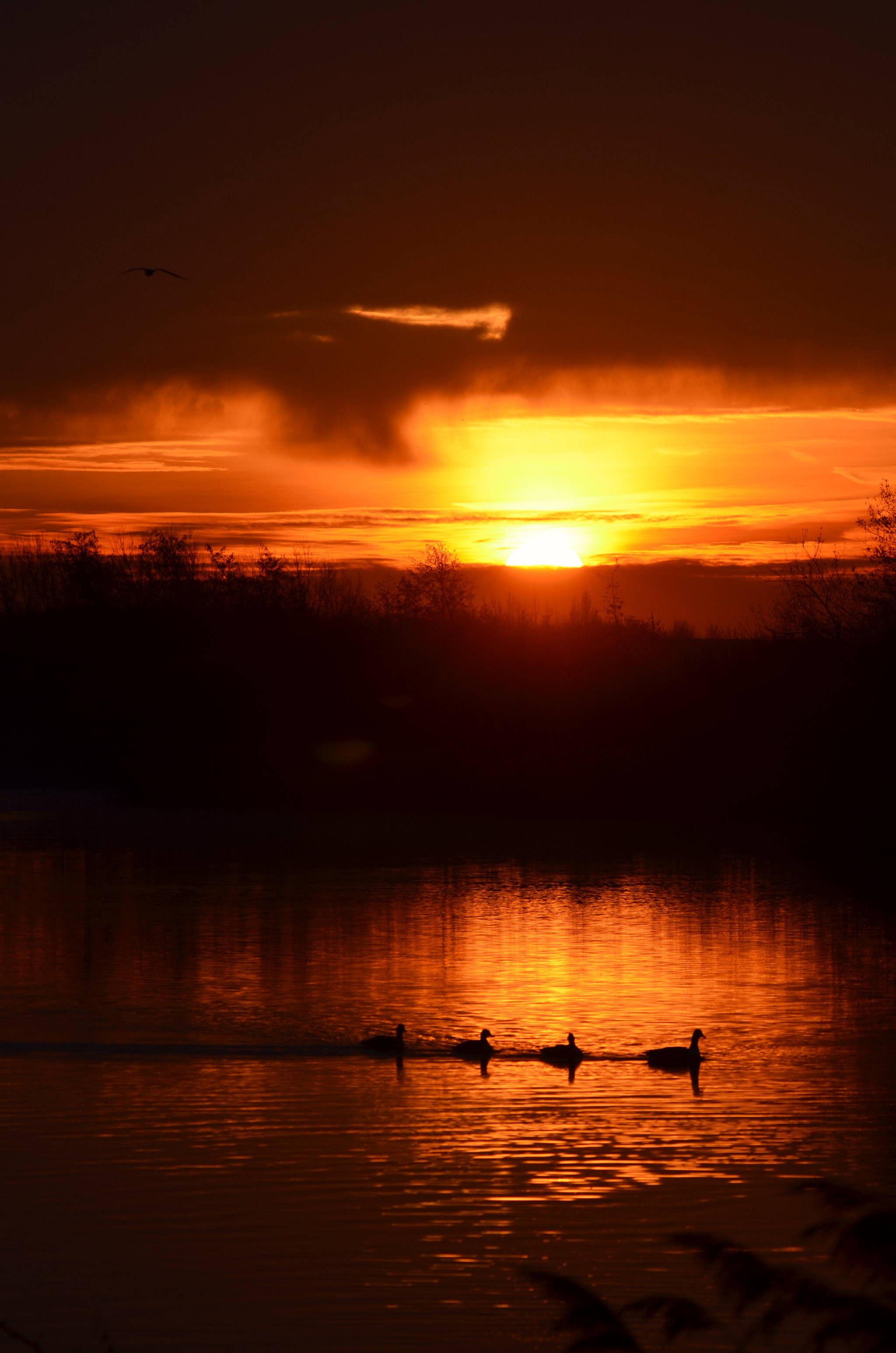 Sigma 150-500mm F5-6.3 DG OS HSM sample photo. Peaceful sunset photography