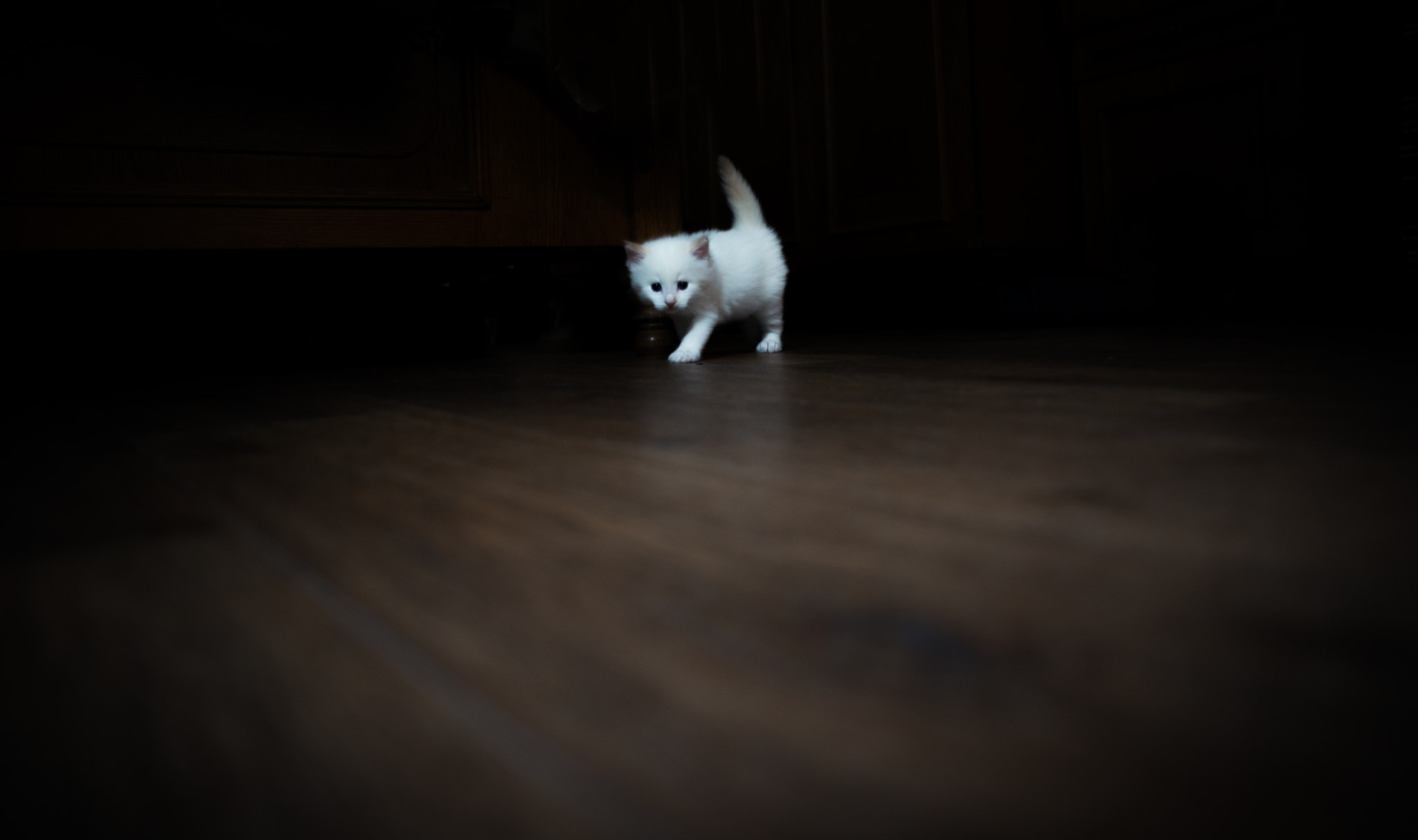 Nikon D800 + Nikon AF Nikkor 24mm F2.8D sample photo. My name is bill... photography