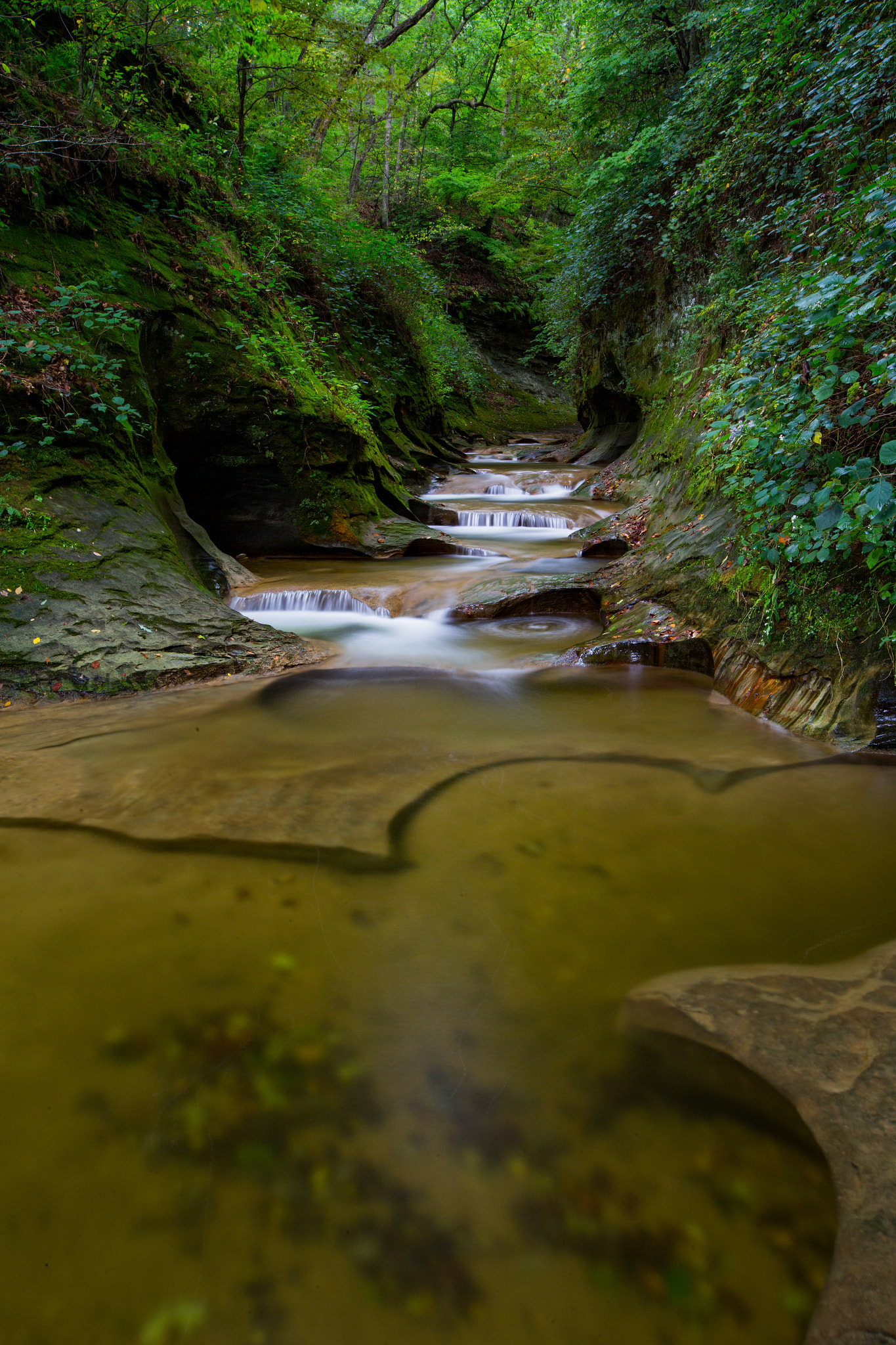 Canon EOS-1D C + Canon EF 16-35mm F2.8L II USM sample photo. Rock gorge photography