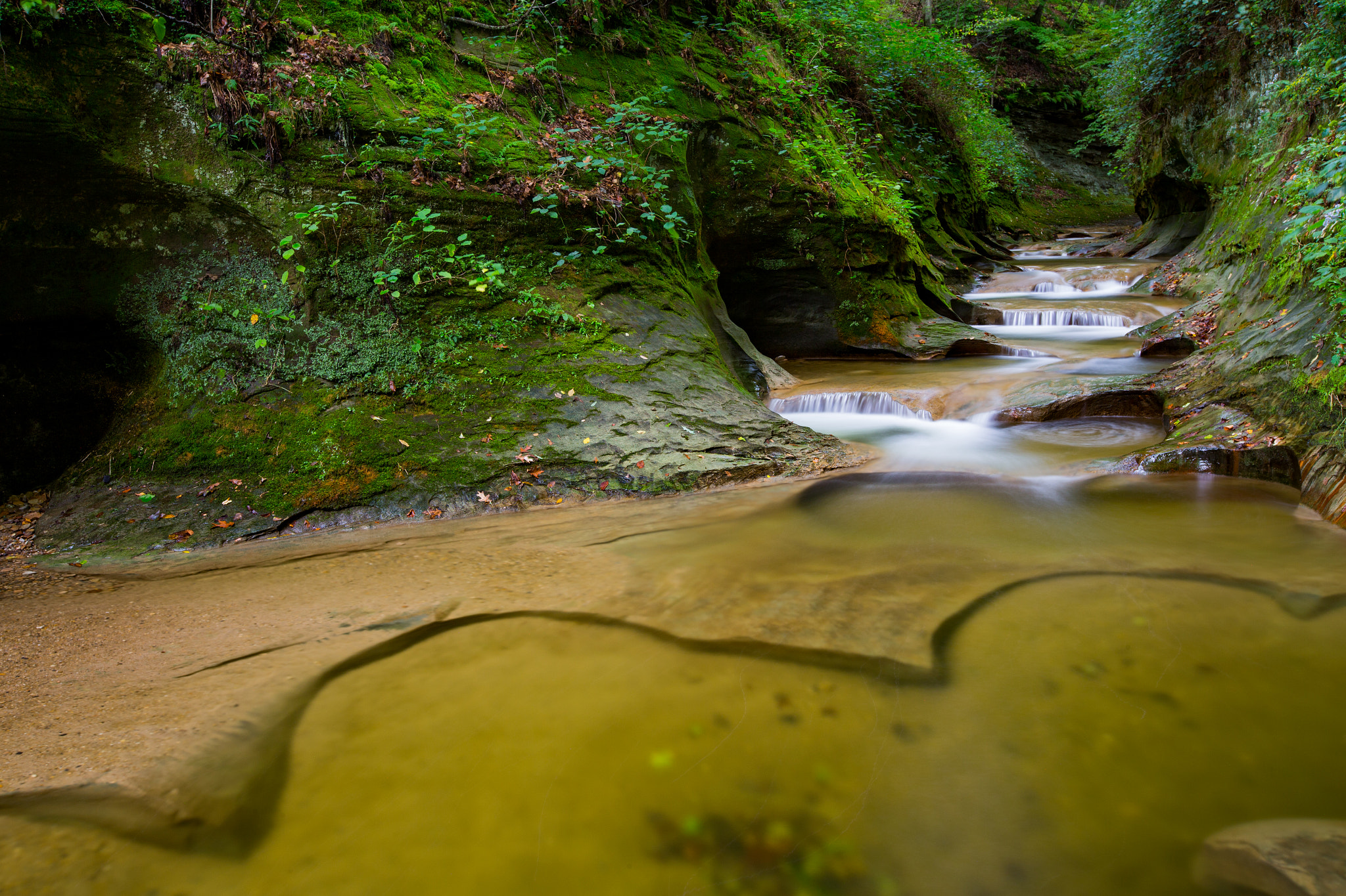 Canon EOS-1D C sample photo. Rock gorge photography