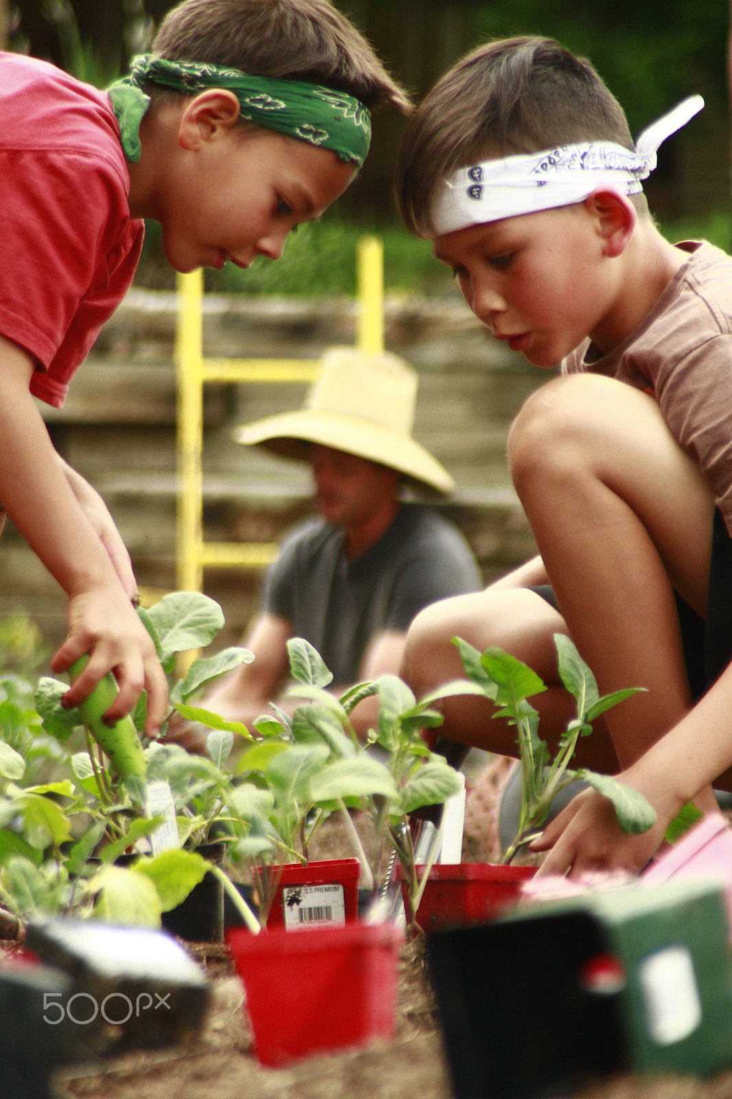 Canon EOS 7D sample photo. Young gardeners photography