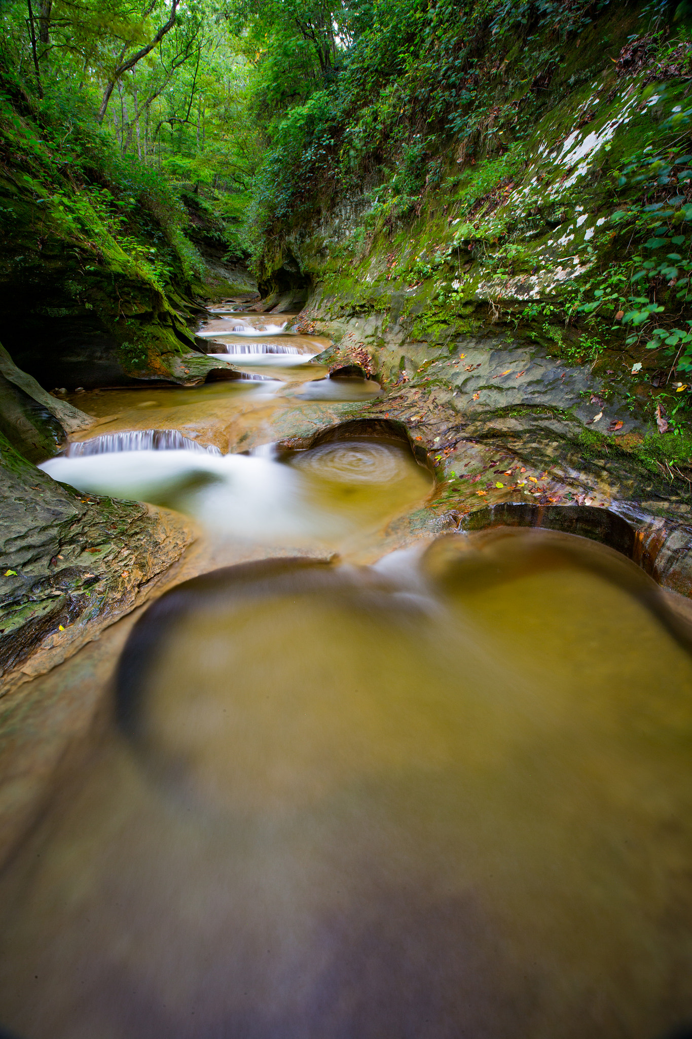 Canon EOS-1D C + Canon EF 16-35mm F2.8L II USM sample photo. Rock gorge photography