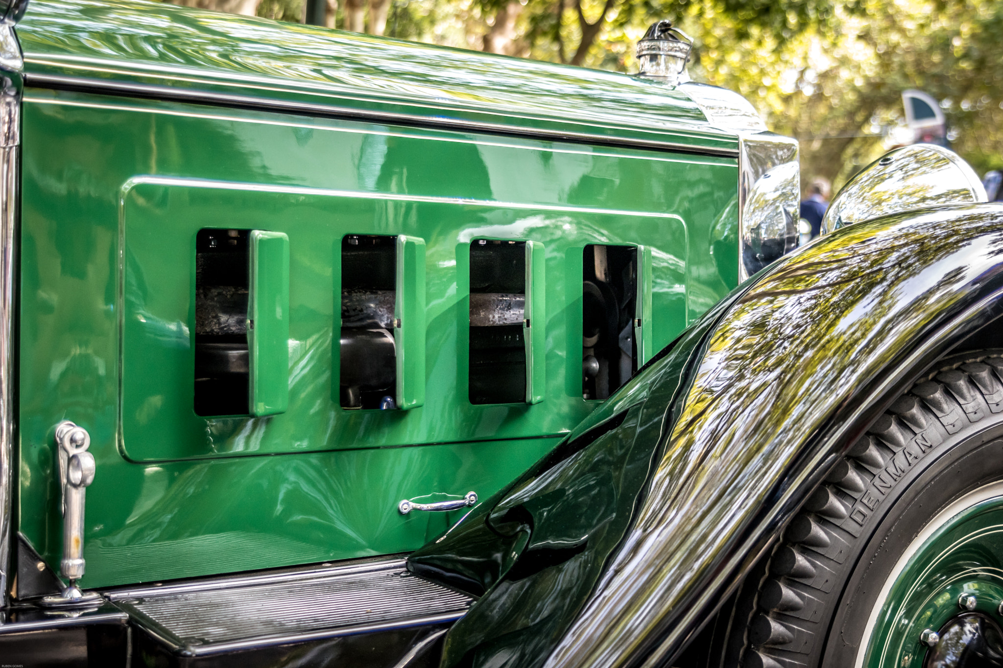 Sigma 24-70mm F2.8 EX DG HSM sample photo. Green shark photography