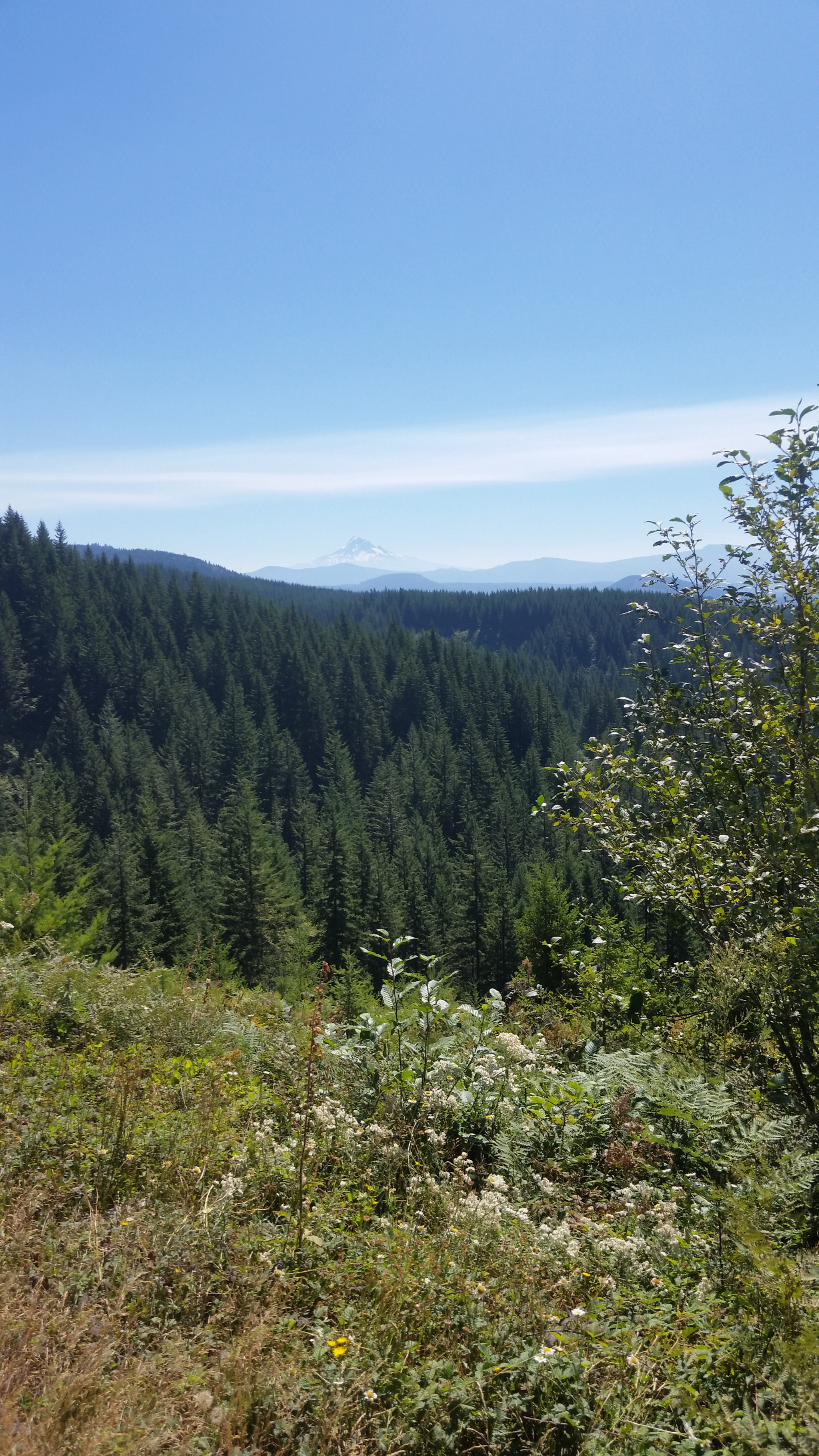 Samsung Galaxy S5 Active sample photo