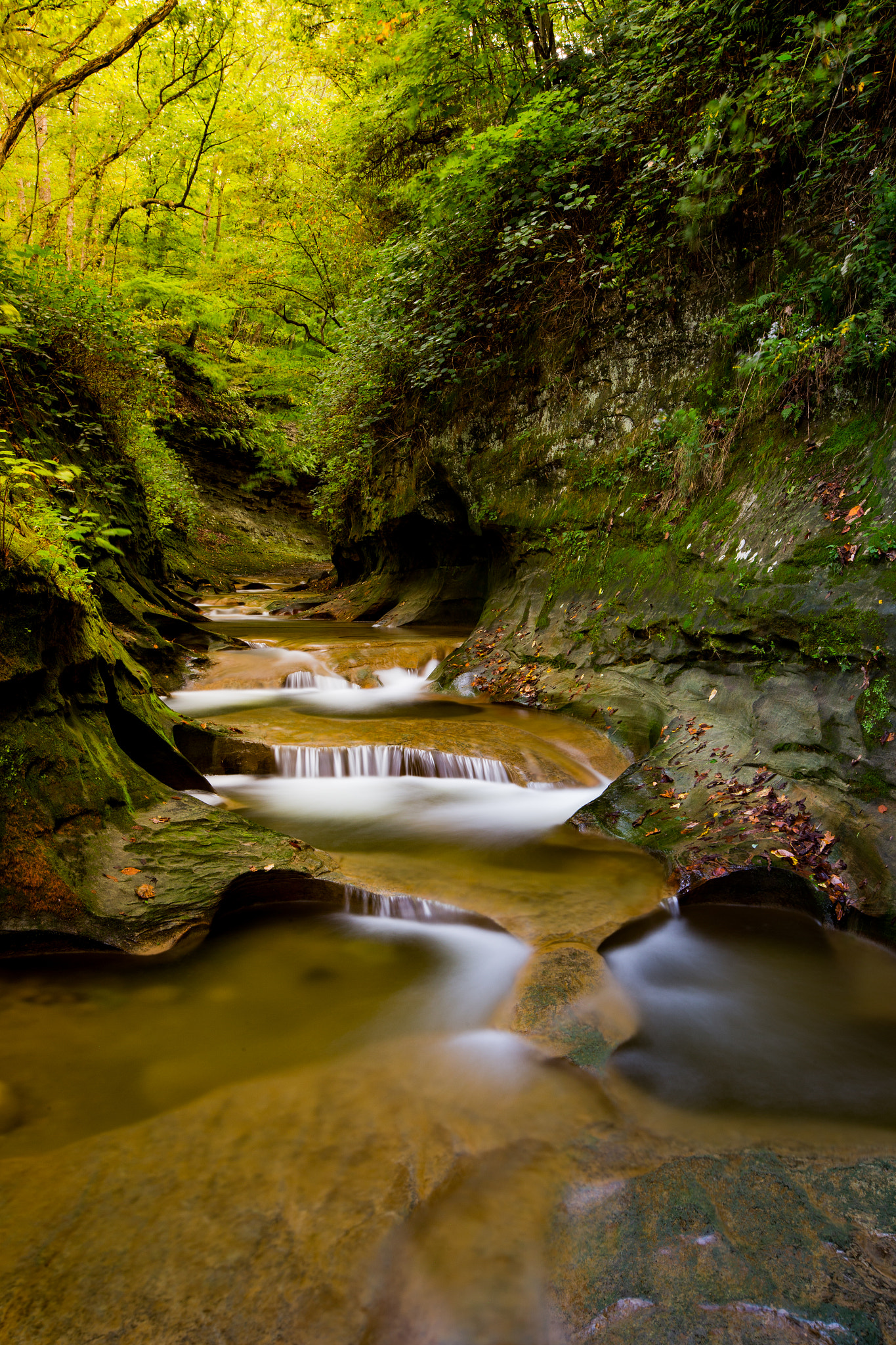 Canon EOS-1D C + Canon EF 16-35mm F2.8L II USM sample photo. Rock gorge photography