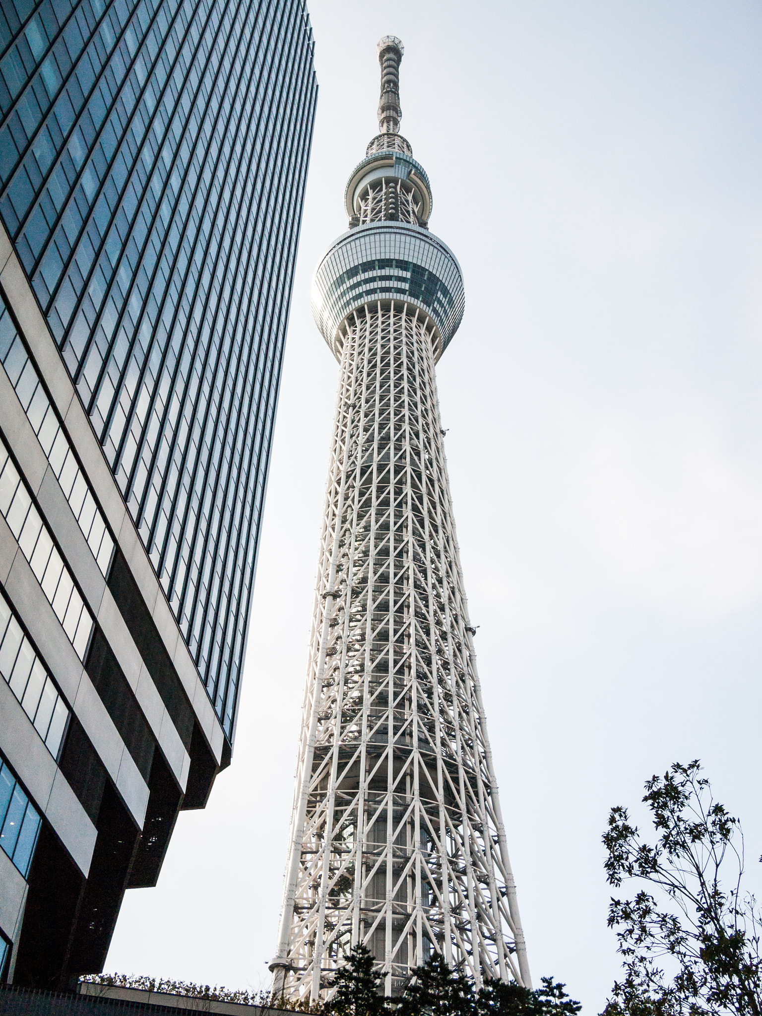 Olympus PEN E-P1 + Panasonic Lumix G 20mm F1.7 ASPH sample photo. The tokyo skytree photography